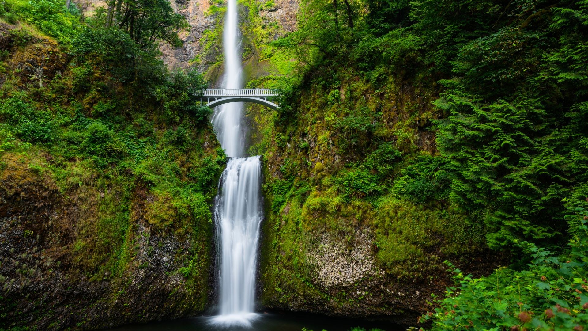 A tall, two-tiered waterfall, Multnomah Falls, cascades down a moss-covered cliff face, with a picturesque stone bridge (Benson Bridge) spanning the falls midway up, surrounded by lush green foliage.
