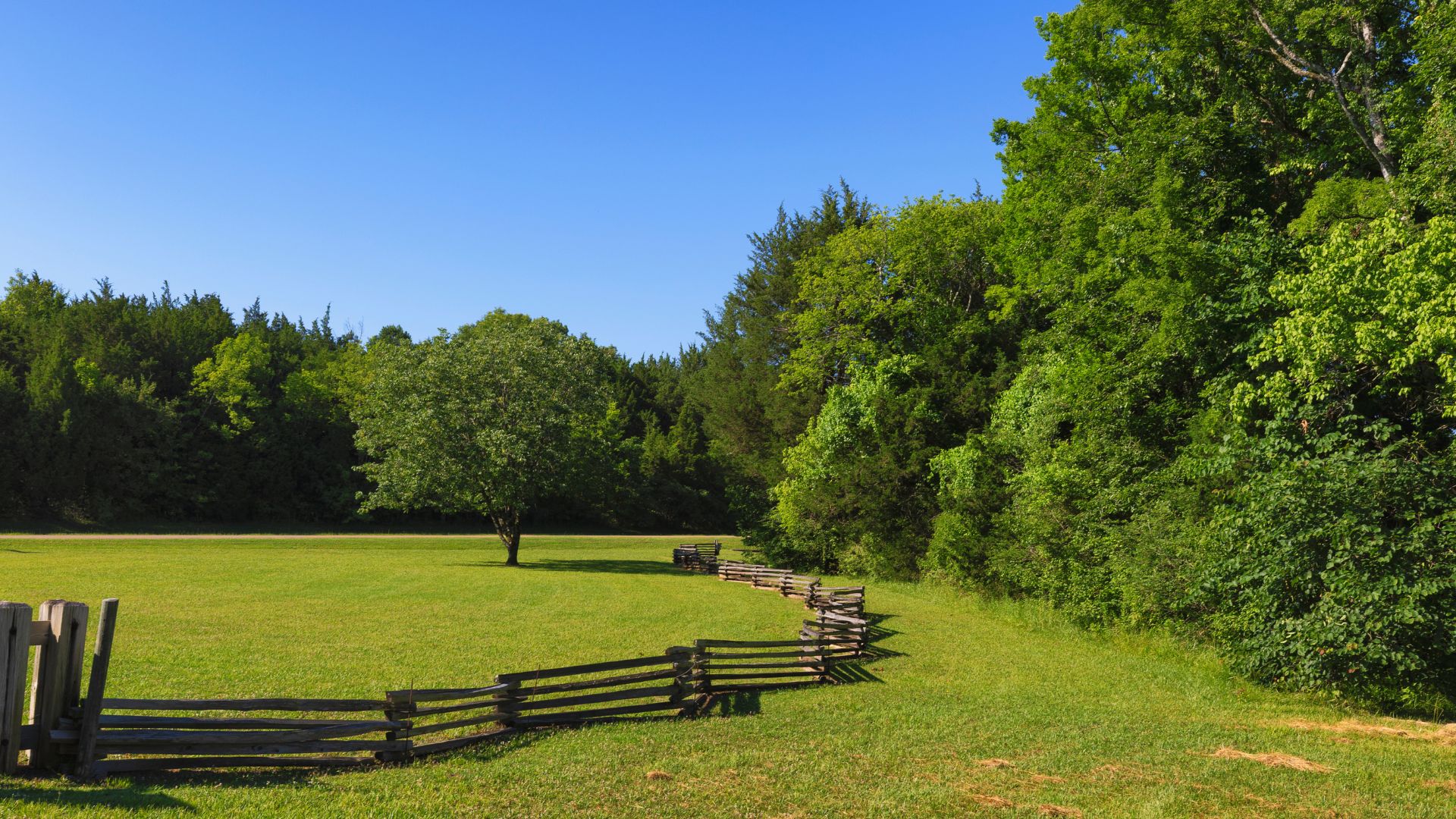 A winding elevated road, the Blue Ridge Parkway, curves through a lush green mountainous landscape under a clear sky, with distant mountains visible on the horizon.