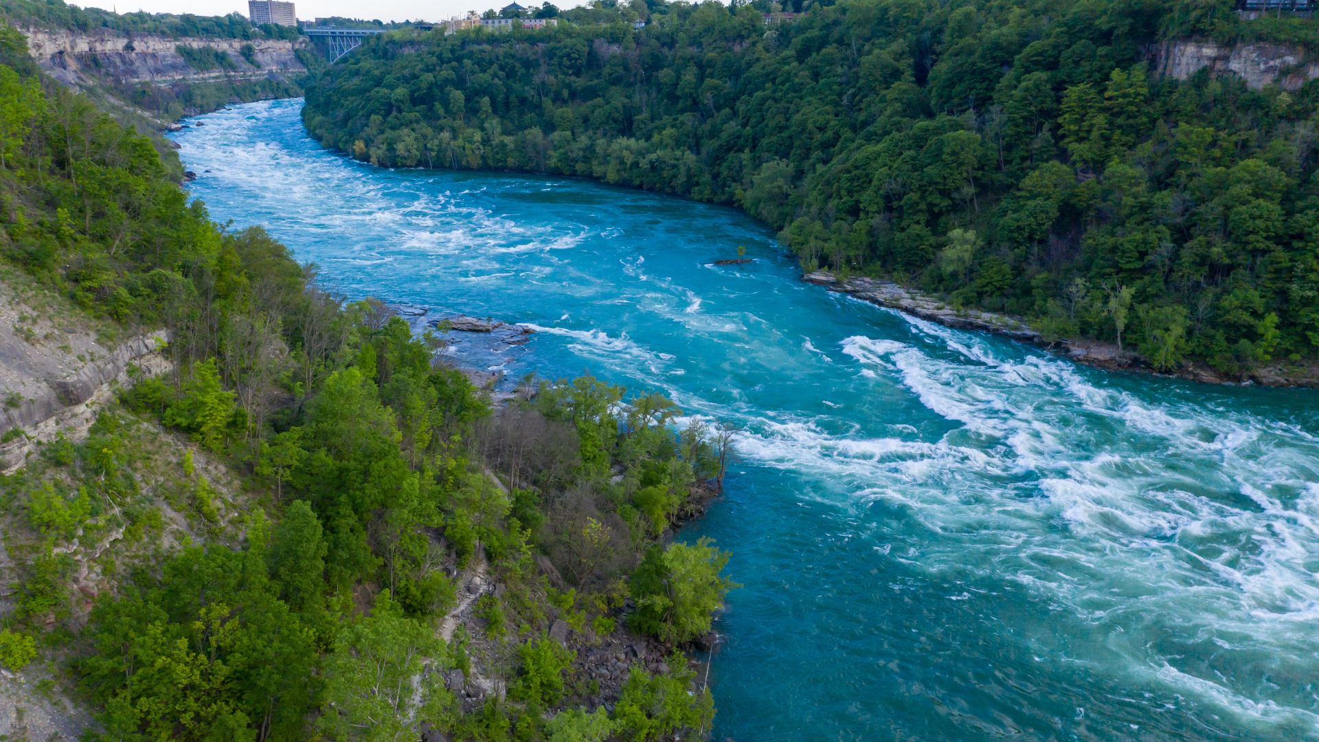 A high-angle aerial view of the powerful, turquoise-blue Niagara River with significant rapids and whitewater, flowing through a verdant gorge lined with dense green trees and some rocky cliffs.