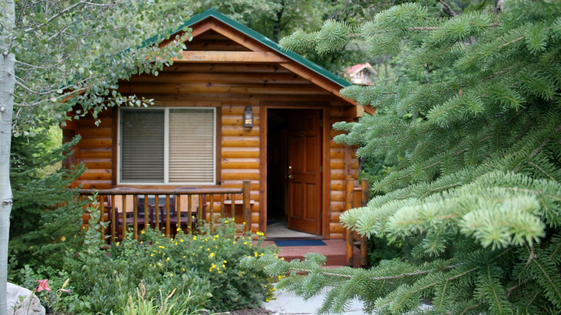 A rustic log cabin nestled among lush green trees, featuring a front porch with a railing and a partially open wooden door, suggesting a secluded natural setting.