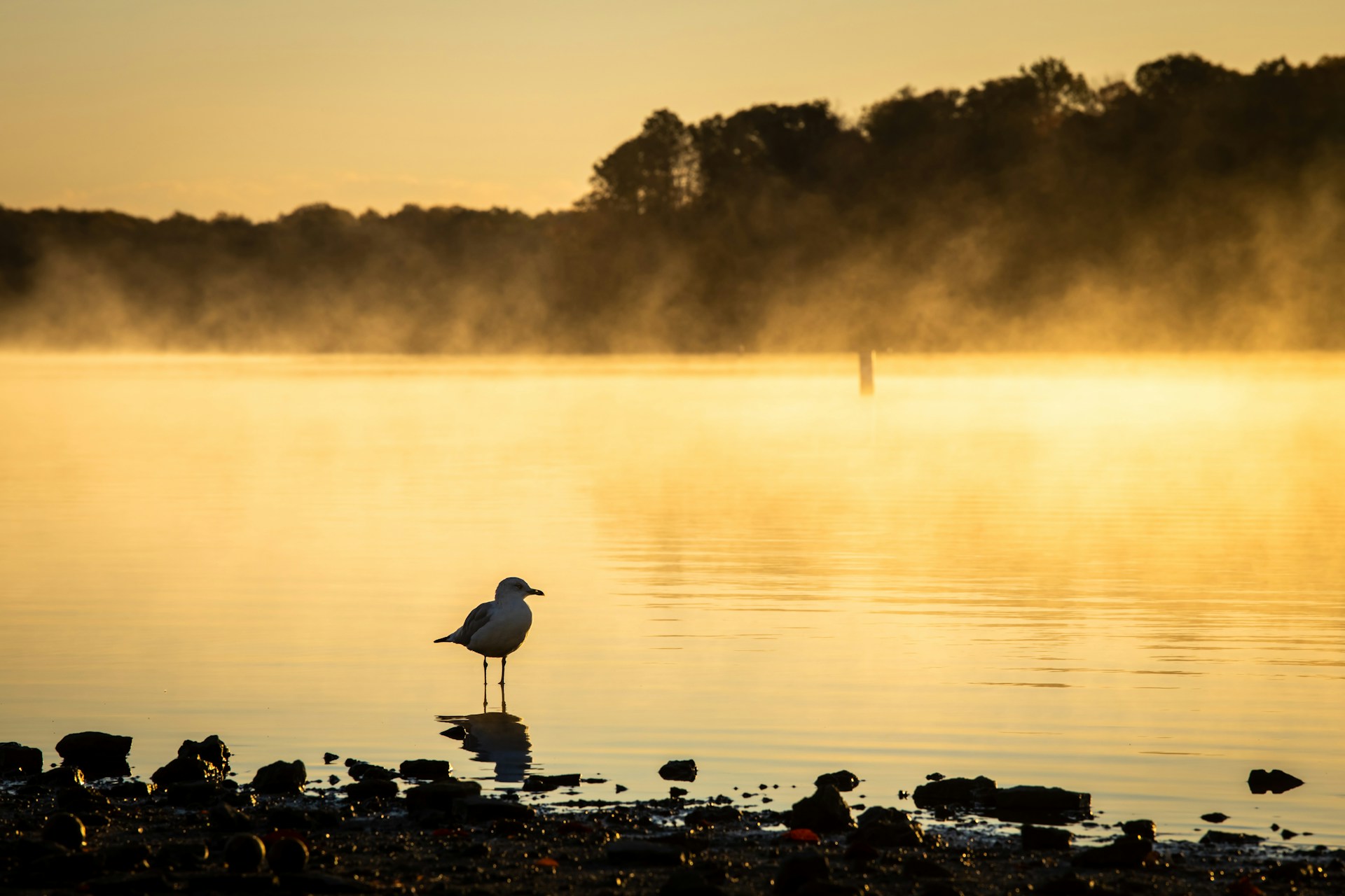 Peaceful Ohio lake surrounded by lush greenery and gentle rolling hills