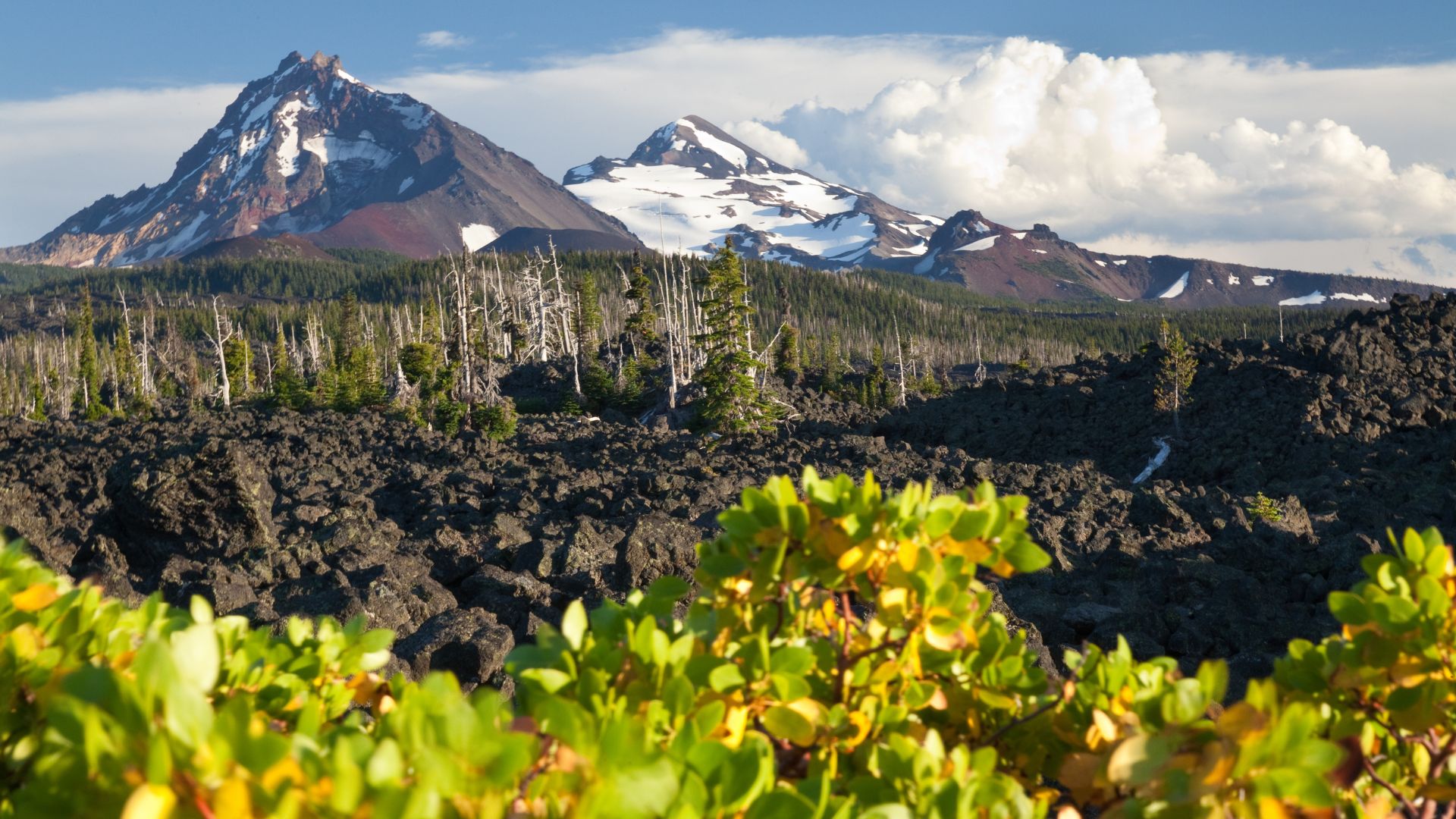 A wide shot of a volcanic landscape featuring dark, rugged lava flows and sparse vegetation in the foreground, with snow-capped peaks of the Three Sisters mountains under a cloudy sky in the background. 