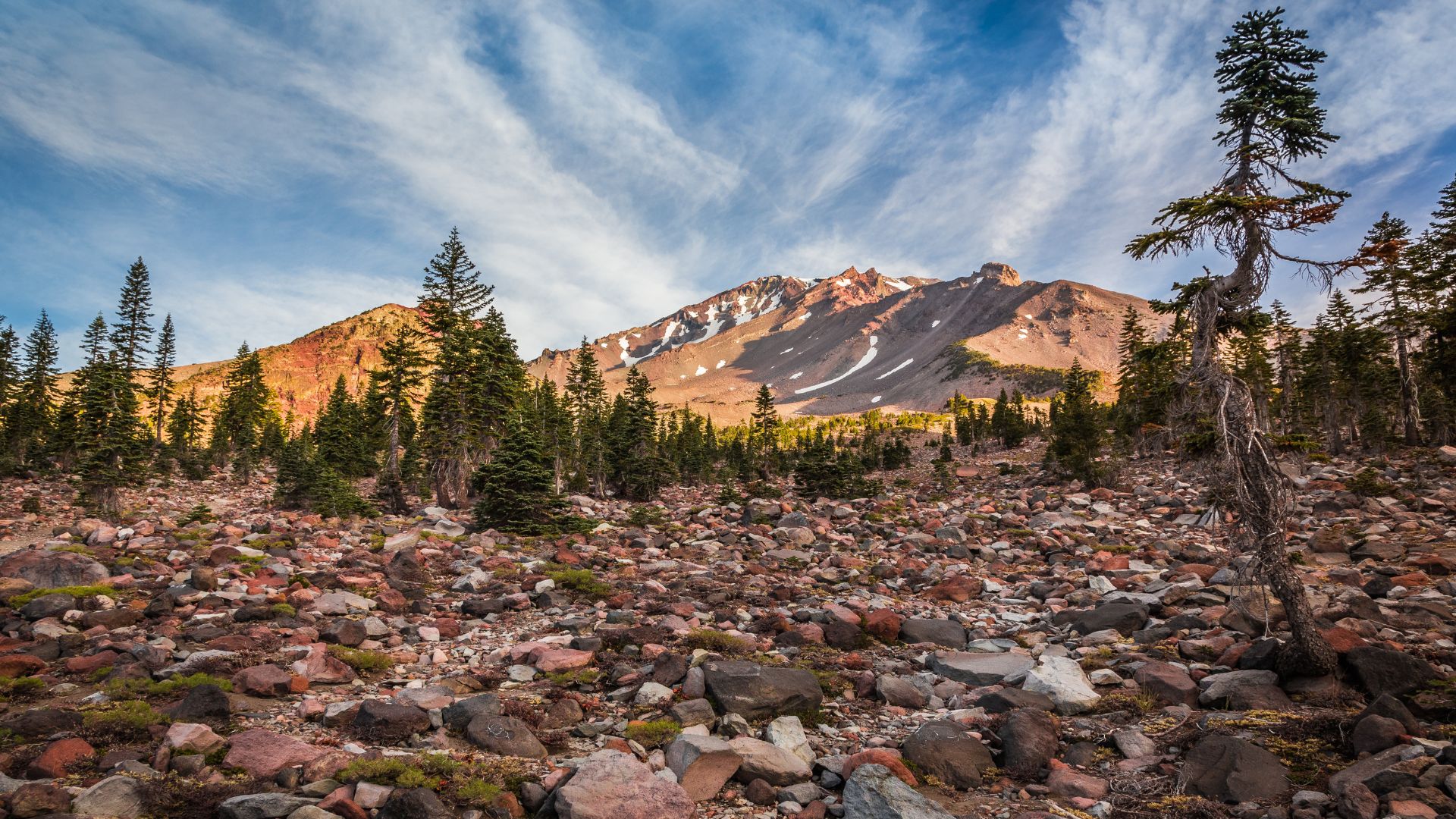 A wide shot of Panther Meadows at the base of Mount Shasta, featuring a rocky, sparsely vegetated foreground with scattered trees, leading up to a snow-capped mountain under a blue sky with wispy clouds.