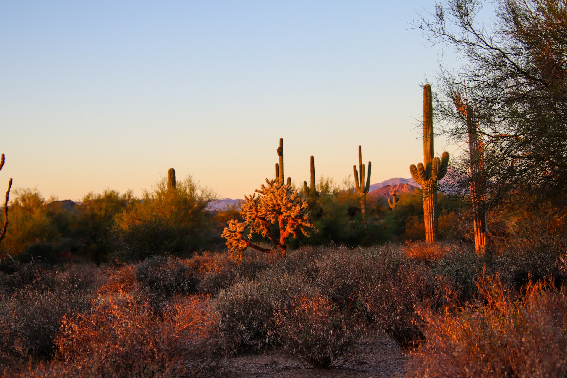 A warm autumn day in Phoenix