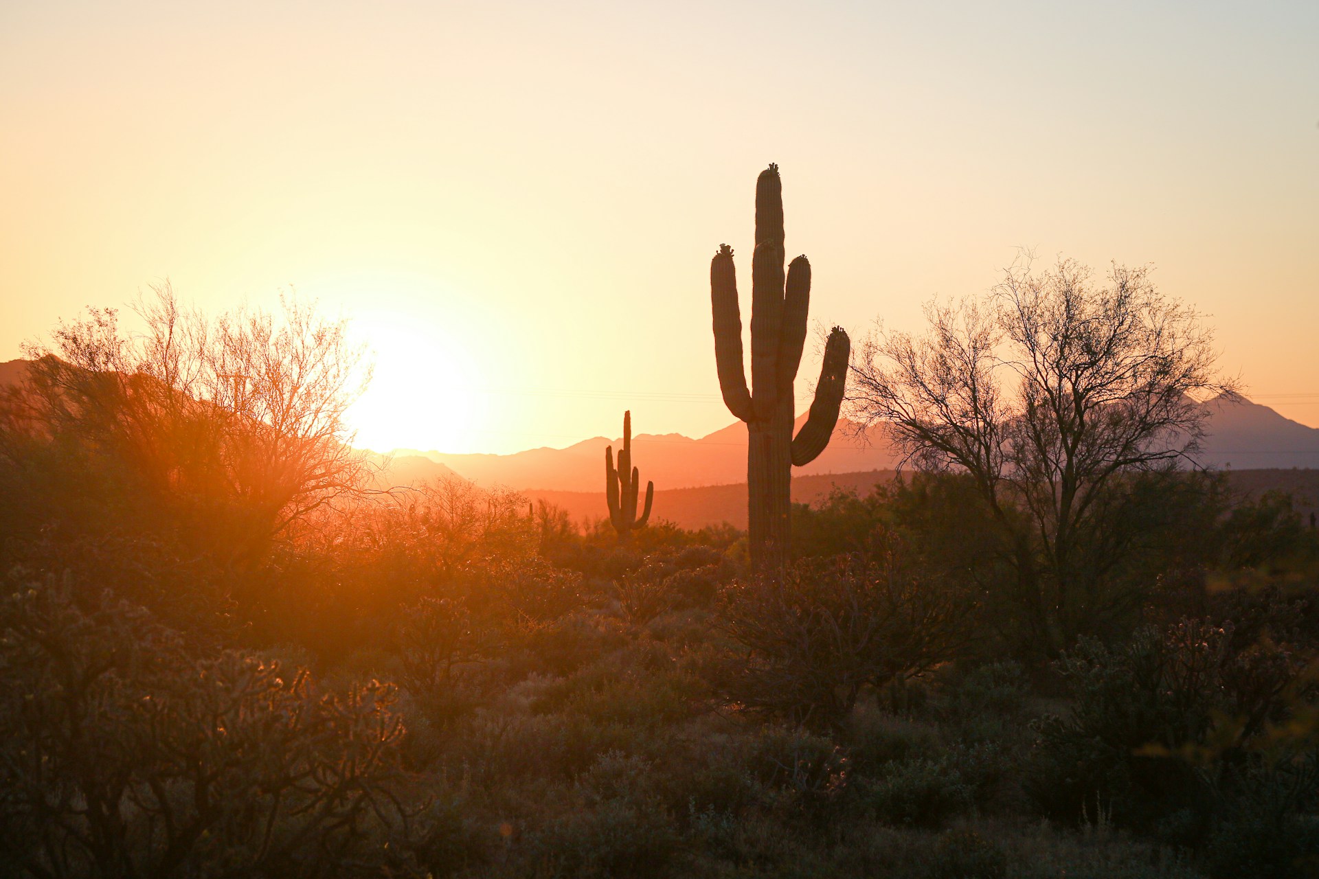 A vast desert landscape in Phoenix during the summer