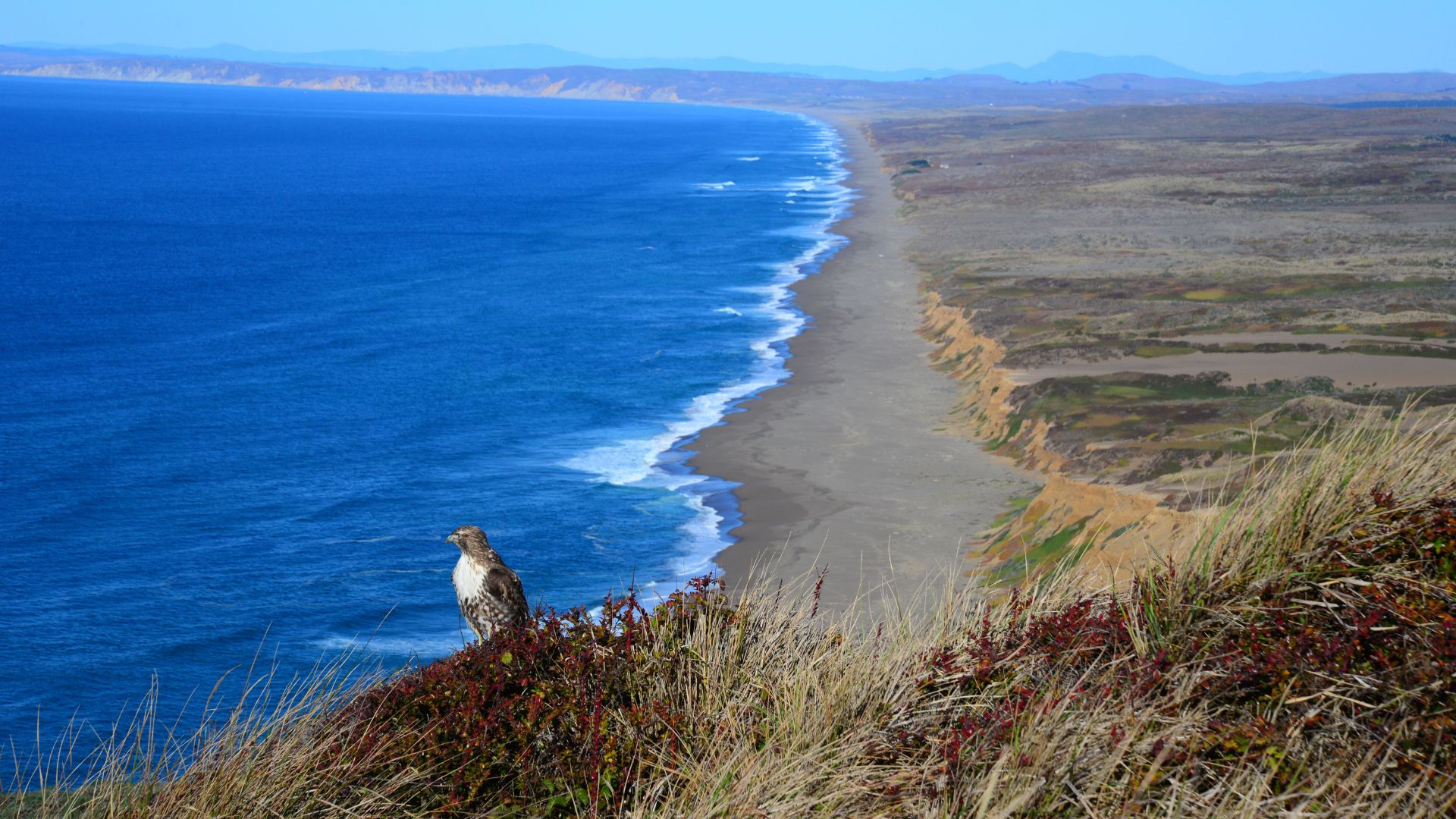 Aerial view of the coast of Point Reyes National Seashore, California.