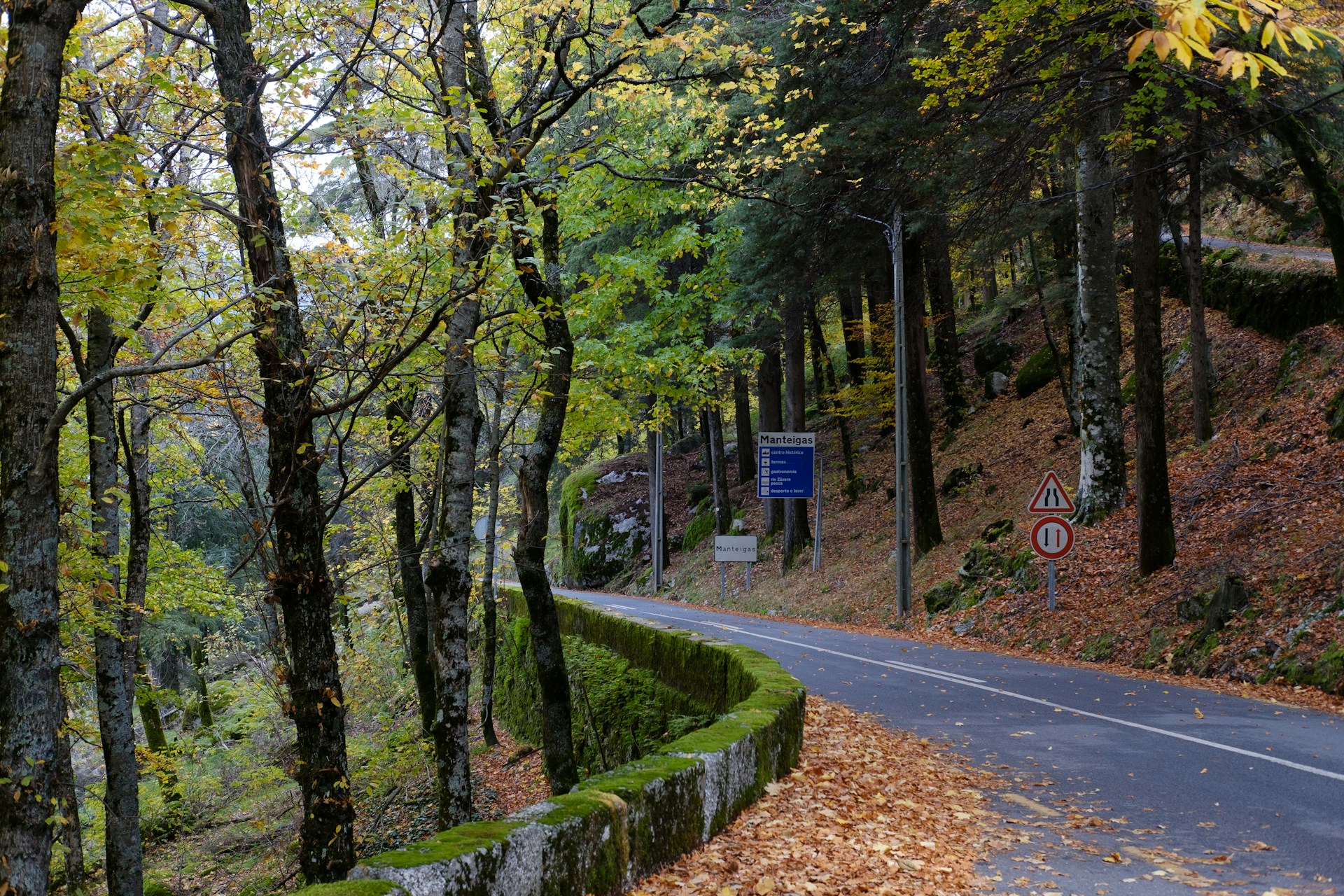 A winding road through the Portuguese countryside