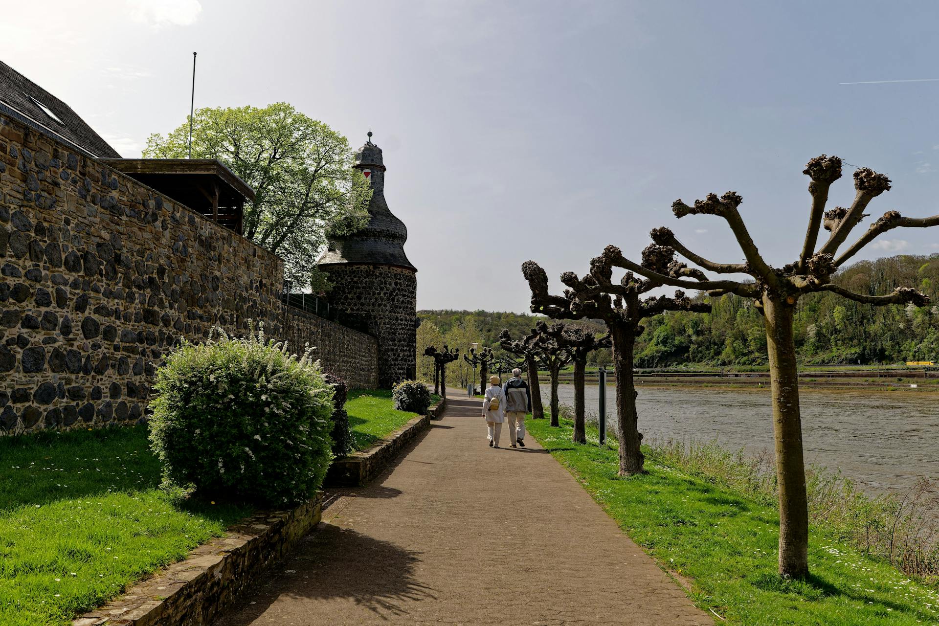 A peaceful view of the Rhine River promenade