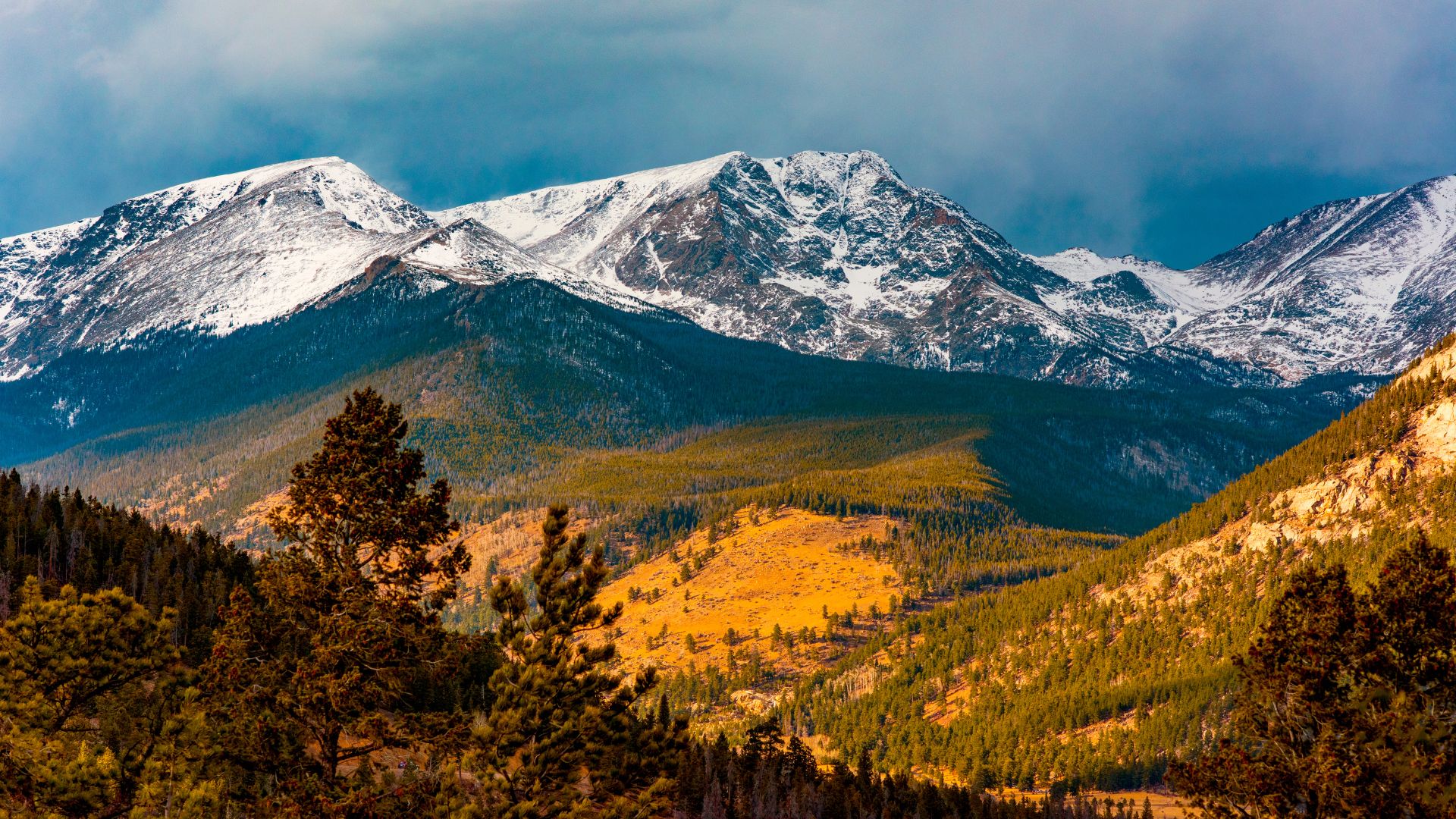 A wide shot of a mountainous landscape featuring snow-capped peaks under a cloudy sky, with evergreen forests in the foreground and a golden-hued valley in the middle ground, characteristic of Rocky Mountain National Park.