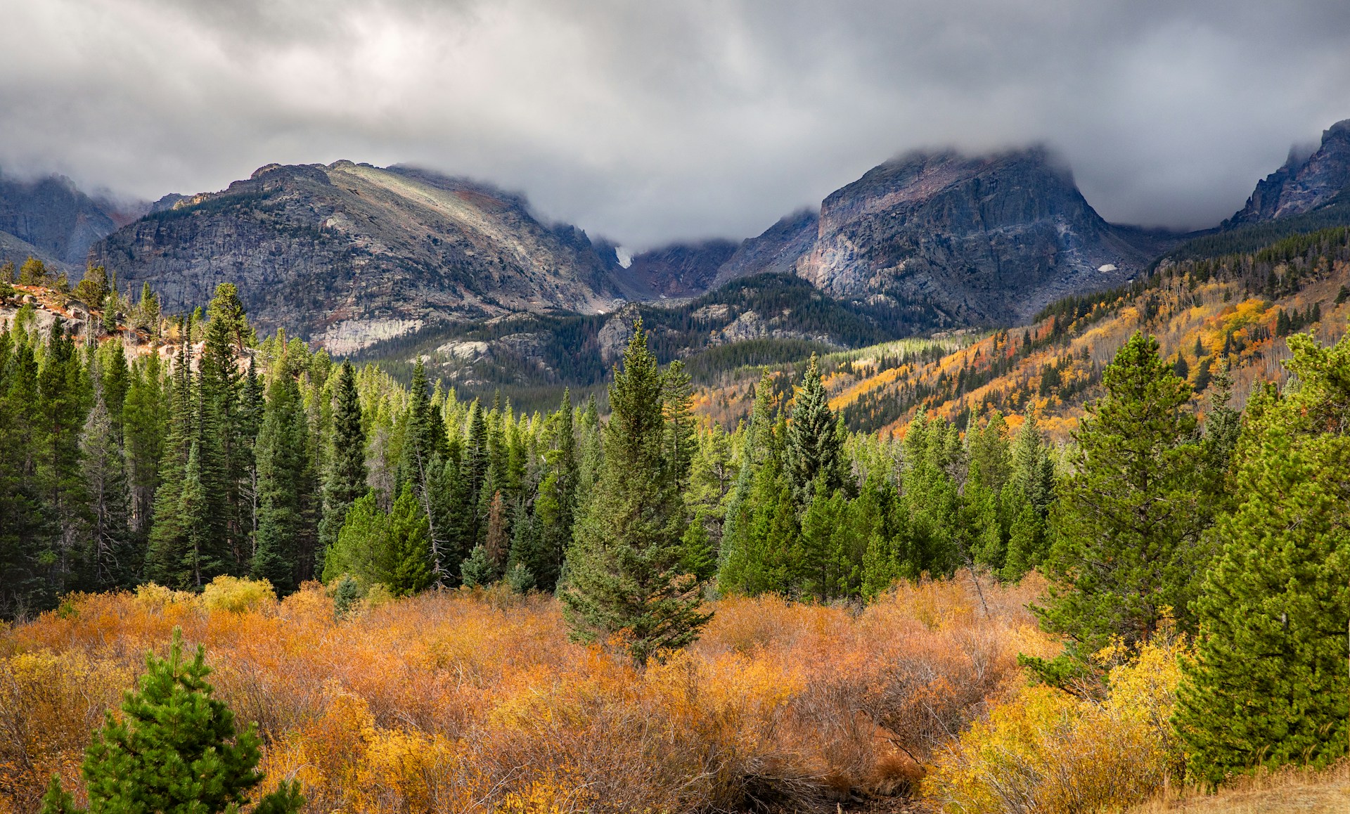 A vibrant autumn scene in Rocky Mountain National Park