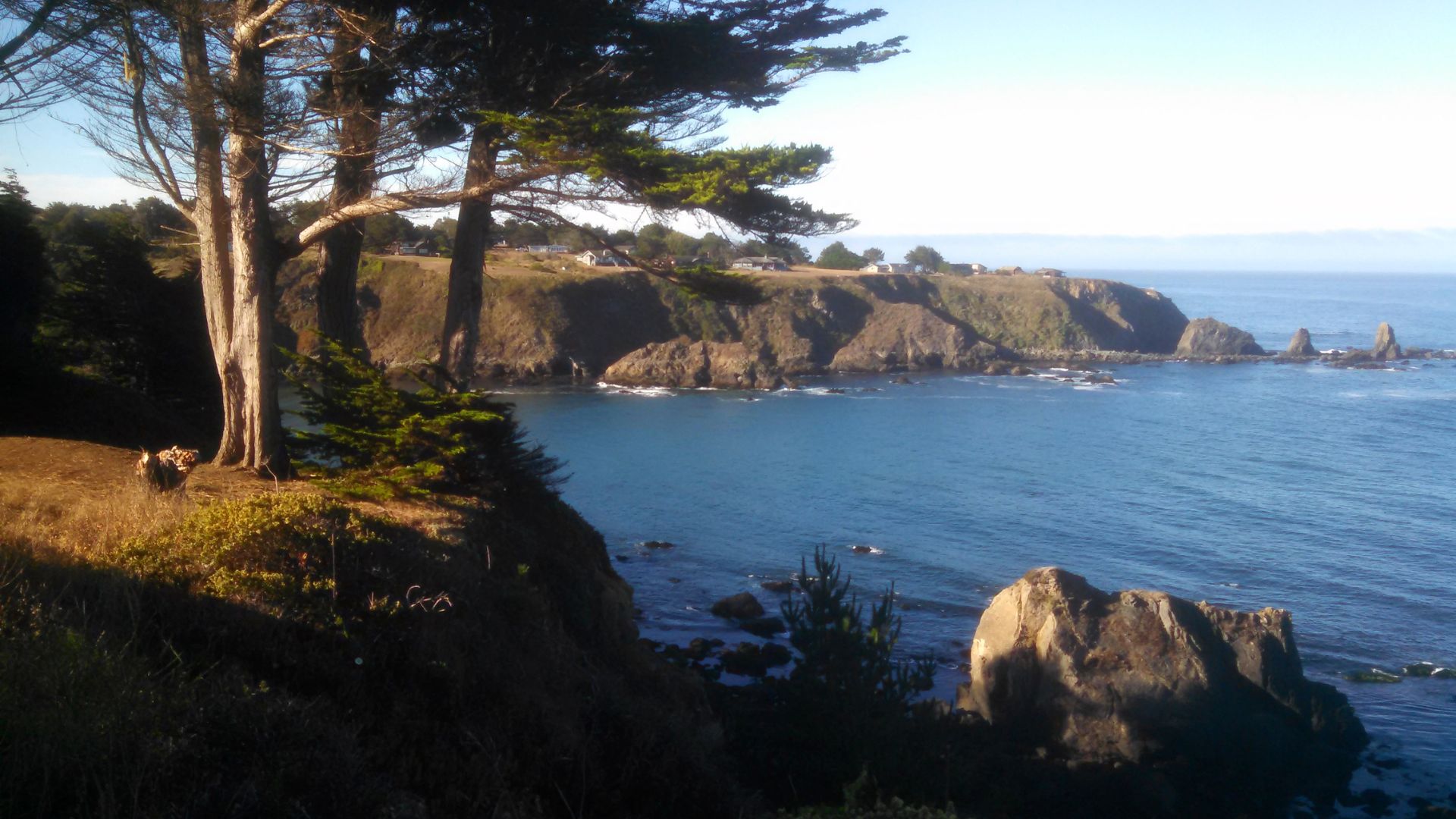 A sunlit coastal scene with large trees and grassy cliffs overlooking a blue ocean with rock formations and distant headlands under a clear sky.