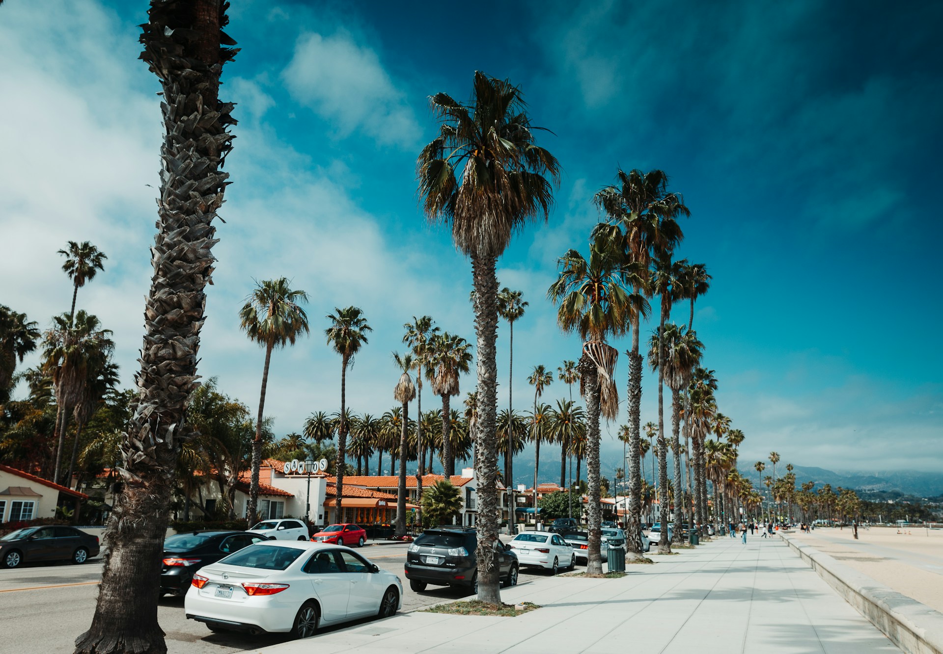 Sunny view of a palm-lined promenade in Santa Barbara