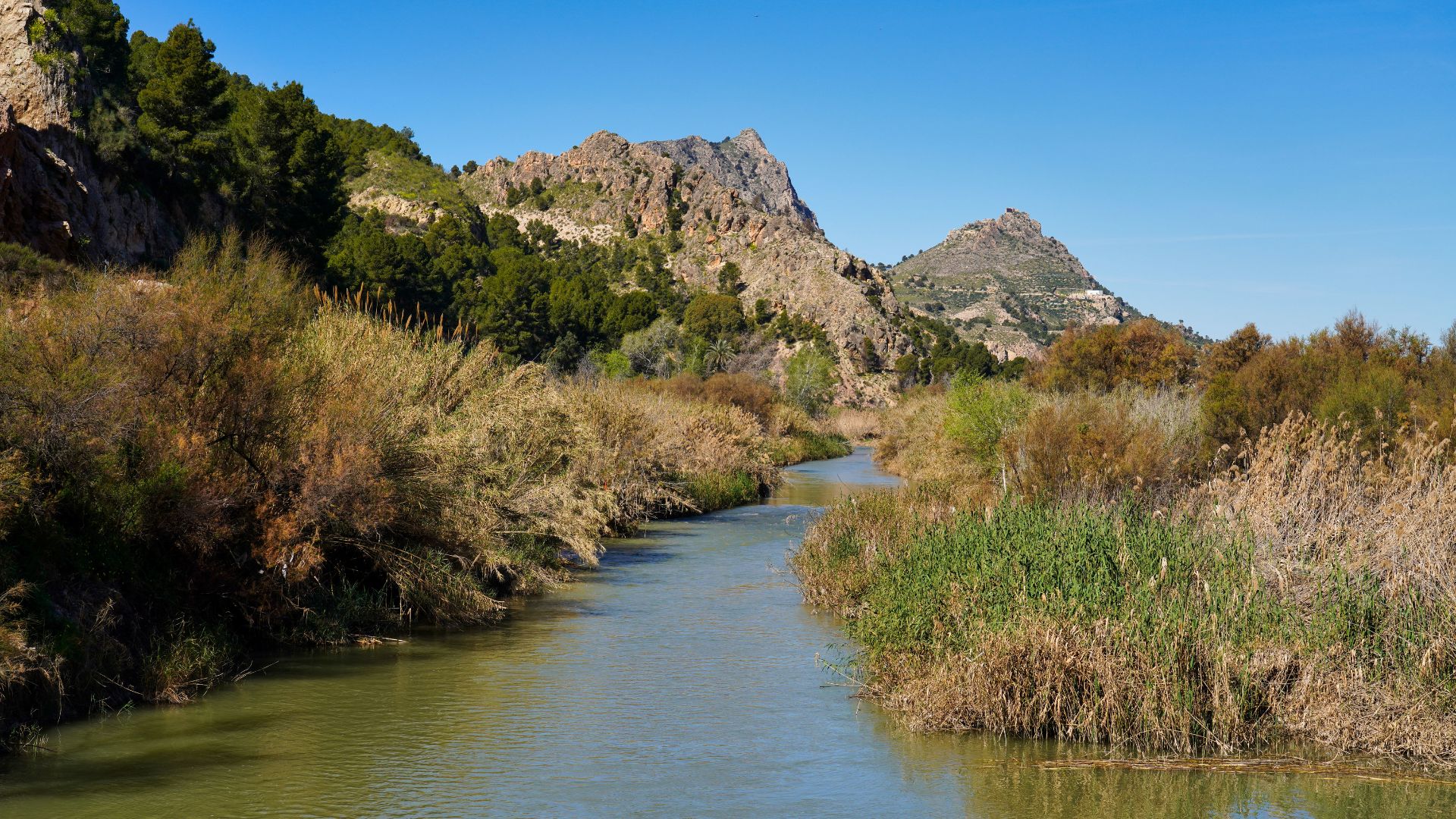 A river flows through a valley surrounded by lush, varied vegetation and rugged mountains under a clear blue sky.