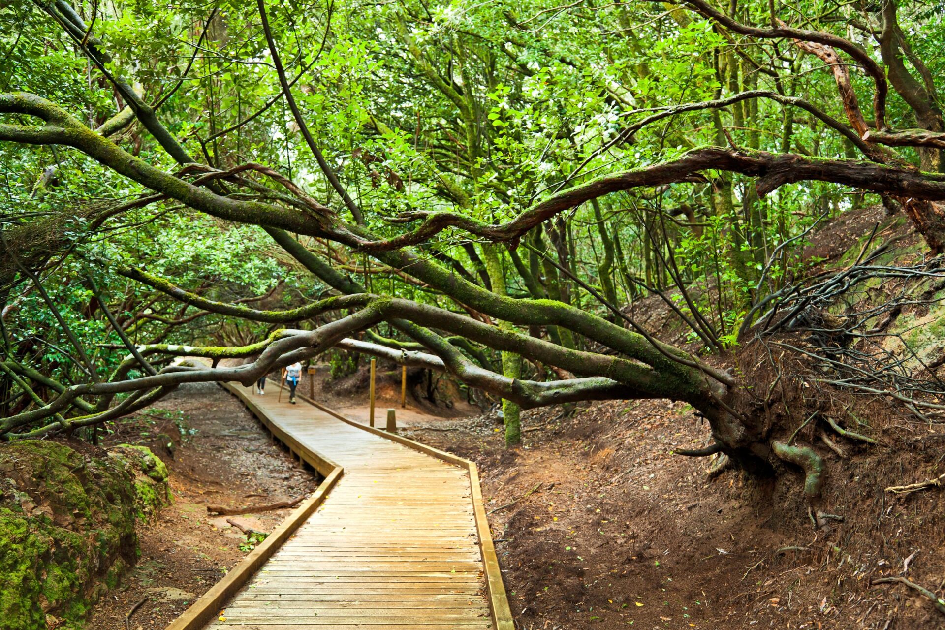 Sendero de los Sentidos