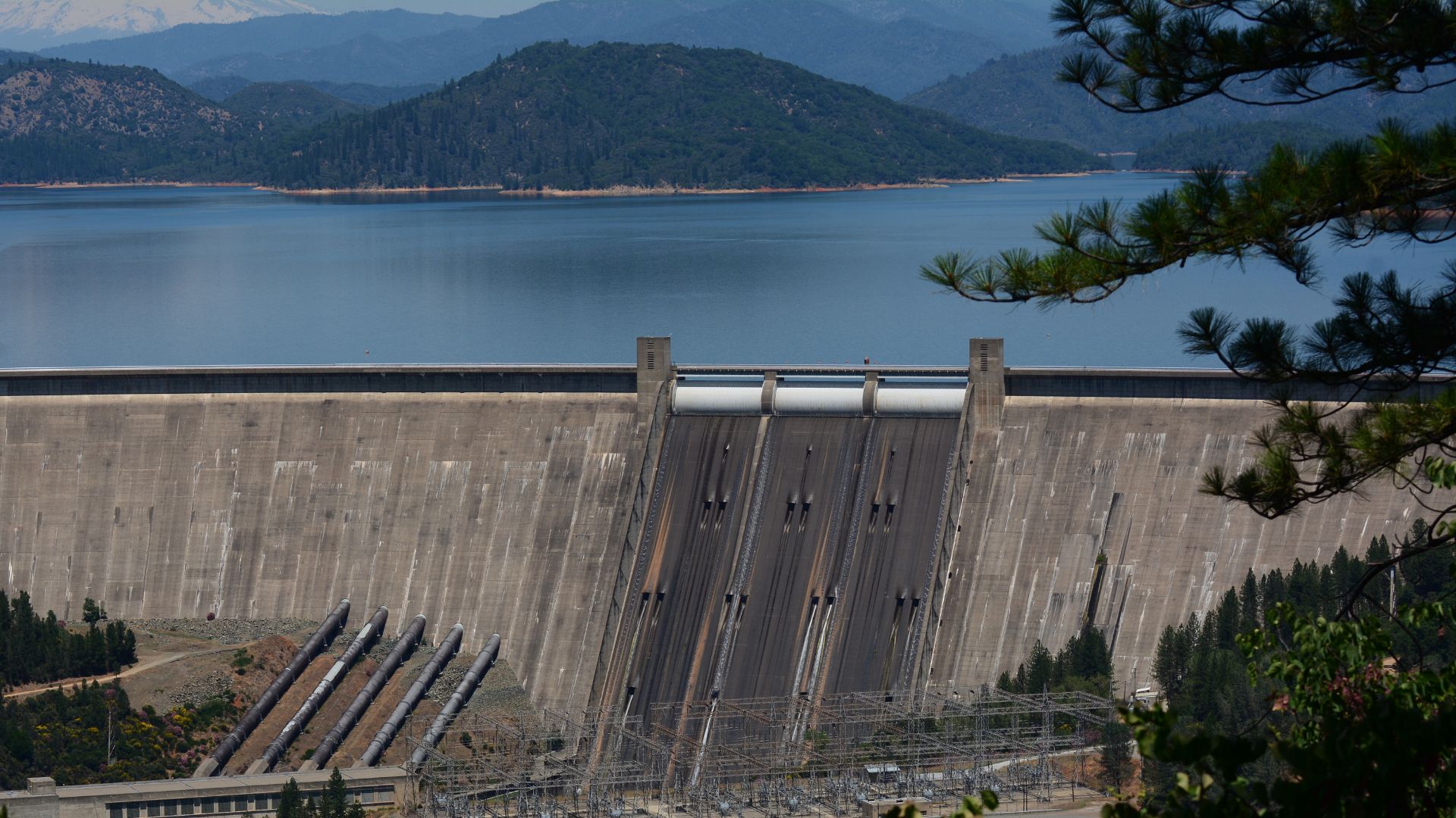 A wide shot of the Shasta Dam, a large concrete dam, with a vast lake behind it and forested mountains in the background under a blue sky. The dam's spillway and power generation infrastructure are visible, with pine branches in the foreground on the right.