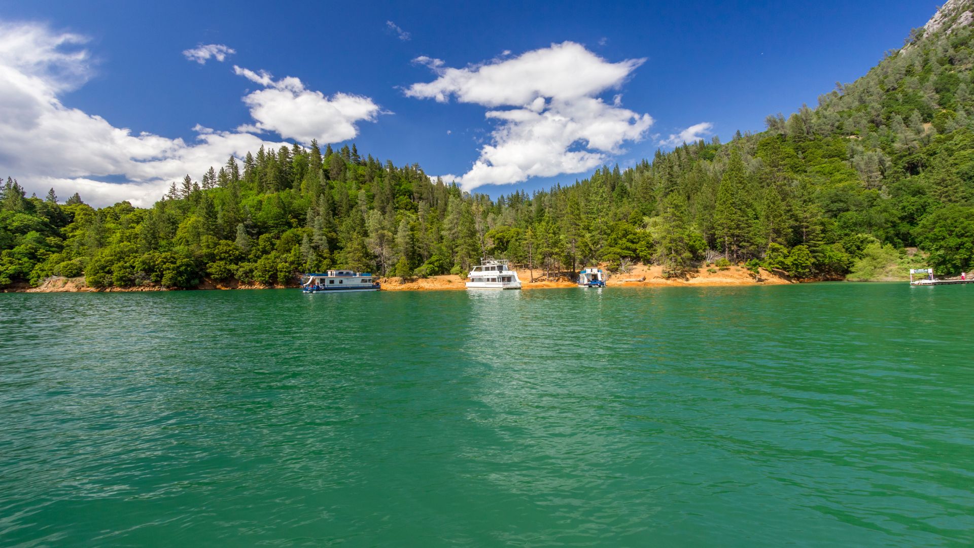 A wide shot of Shasta Lake on a clear, sunny day, showing several recreational boats and houseboats docked along the tree-lined, green shores of the lake, with mountains in the background under a blue sky with white clouds. 