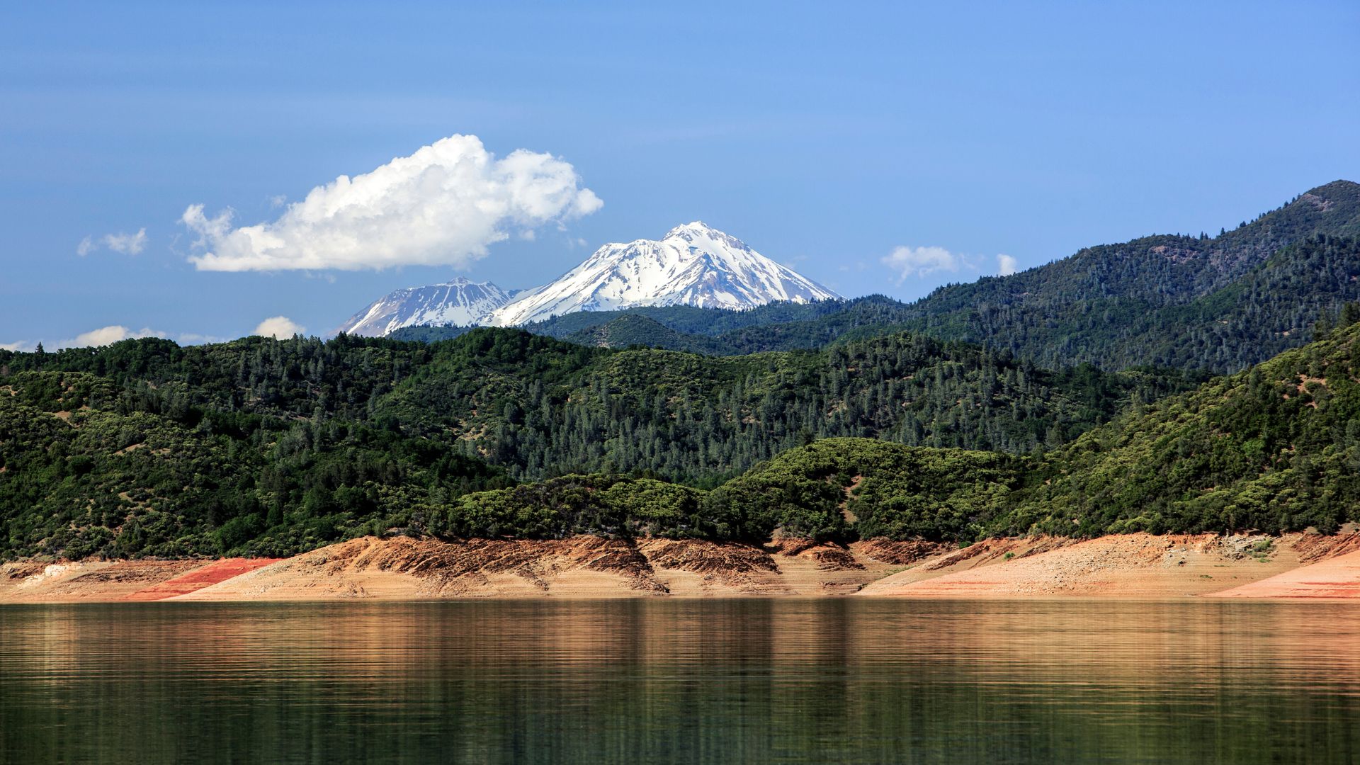 A wide shot of Shasta Lake in California, with clear blue water reflecting the sky and surrounding green, forested hills. In the background, the snow-capped peak of Mount Shasta rises majestically under a bright blue sky with a few white clouds.