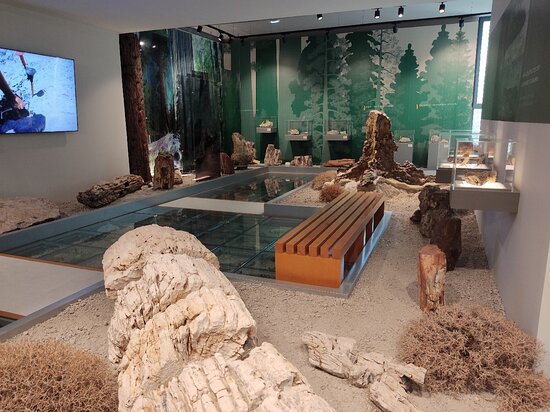 Sigri Natural History Museum
