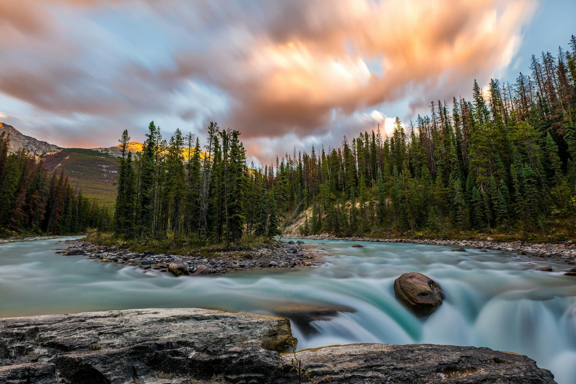 Sunwapta Falls cascading powerfully over rocky cliffs into a narrow canyon
