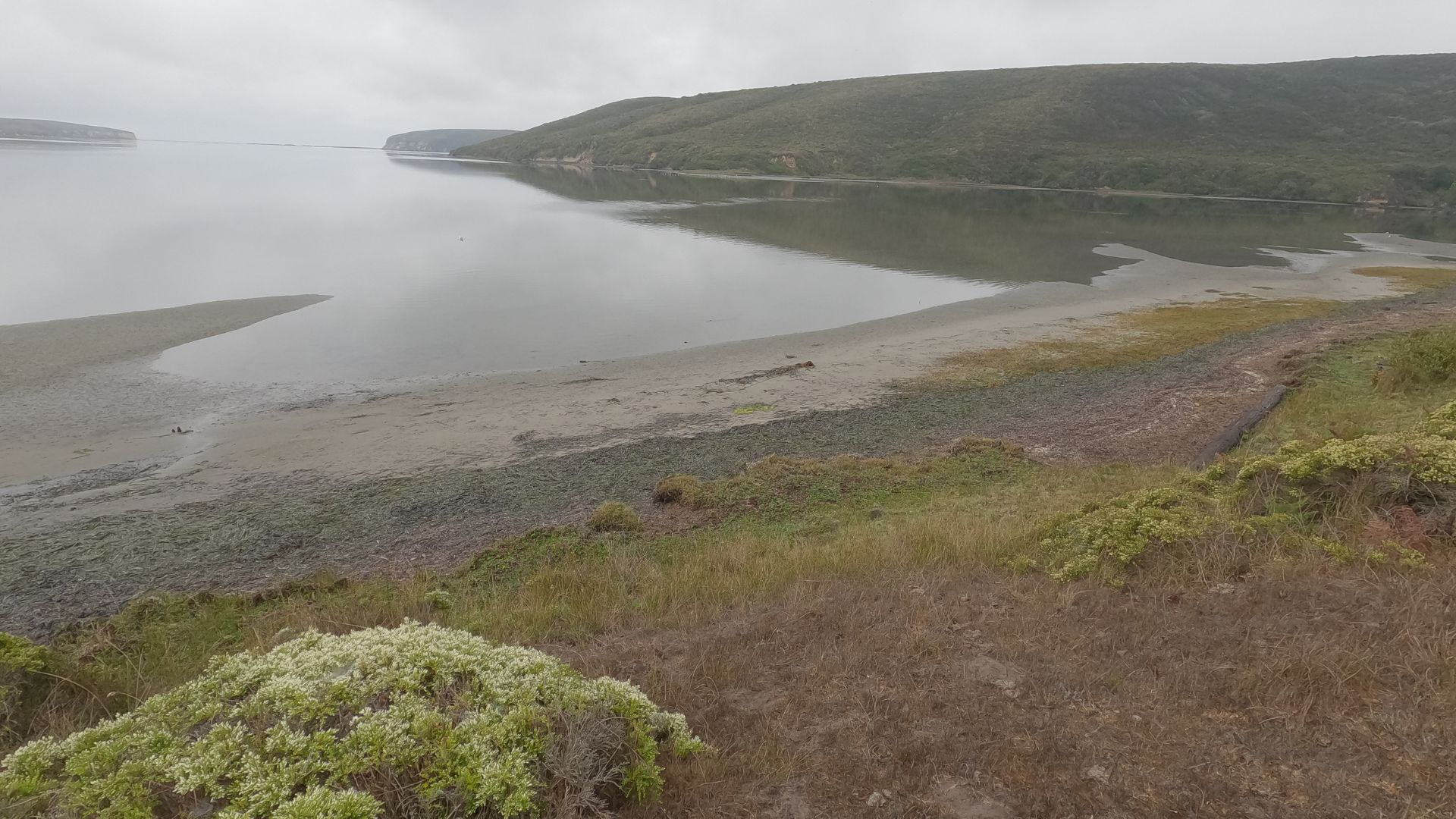 A serene coastal landscape featuring a calm bay or inlet with a sandy and muddy shoreline in the foreground, leading to a grassy bank with scattered low-lying shrubs. In the background, green hills rise from the water under an overcast sky.