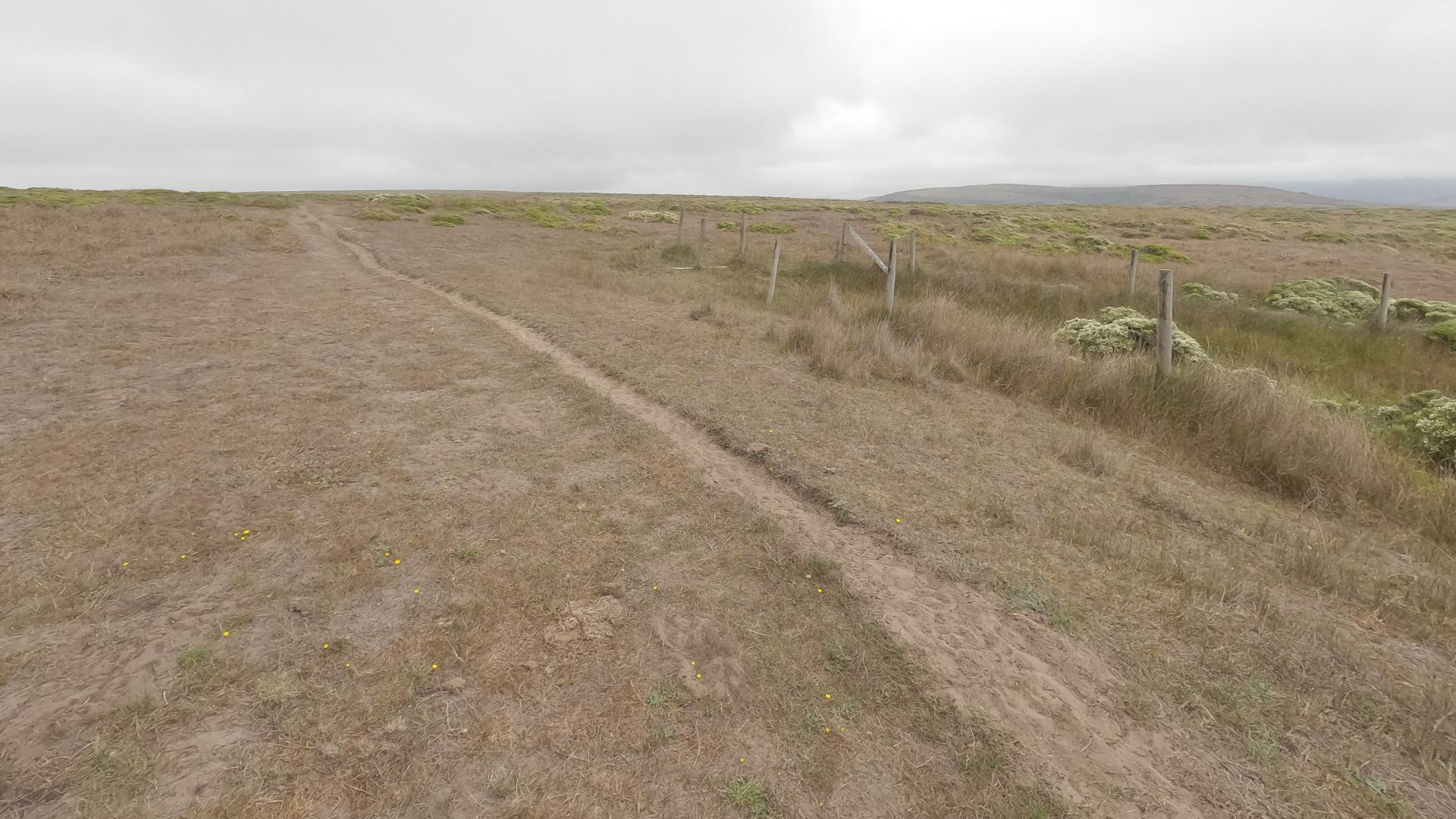 A narrow, well-worn dirt path winds through a vast, dry, grassy field under a cloudy sky. A rustic fence line runs parallel to the path on the right, with some light green foliage visible beyond it. In the distance, low hills are visible under the overcast sky.