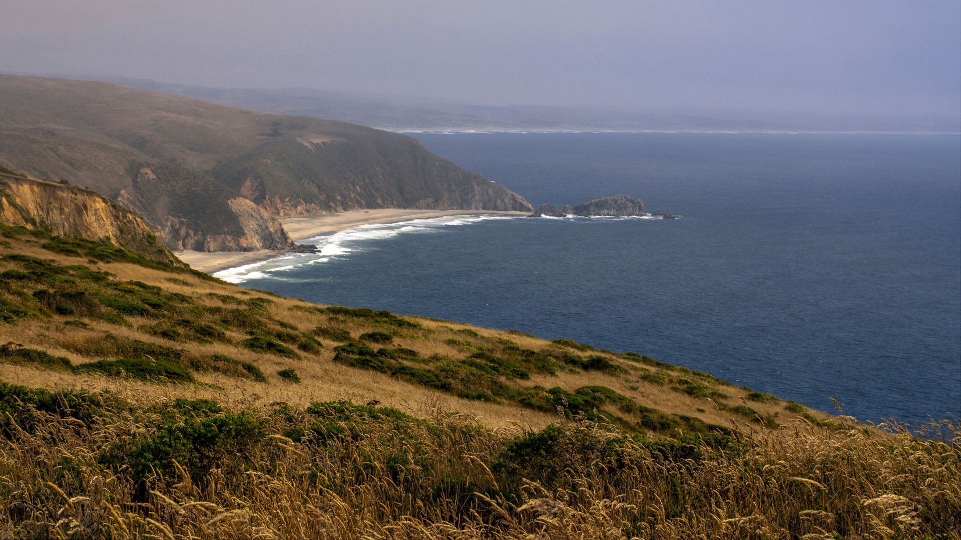 A sweeping landscape photograph showcasing the rugged coastline of Point Reyes National Seashore in California, featuring rolling golden hills in the foreground, steep cliffs leading to a sandy beach below, and the vast expanse of the Pacific Ocean extending to the horizon under a hazy sky.
