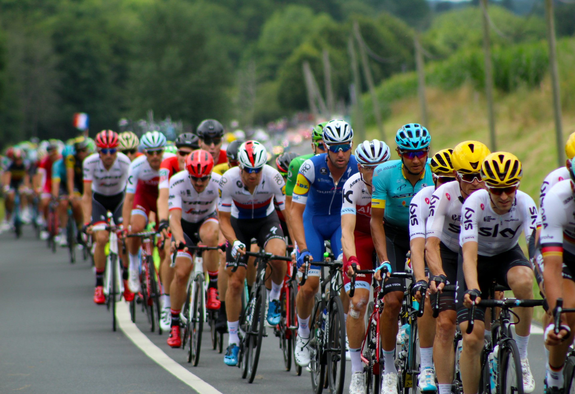 Cyclists competing in the Tour de France