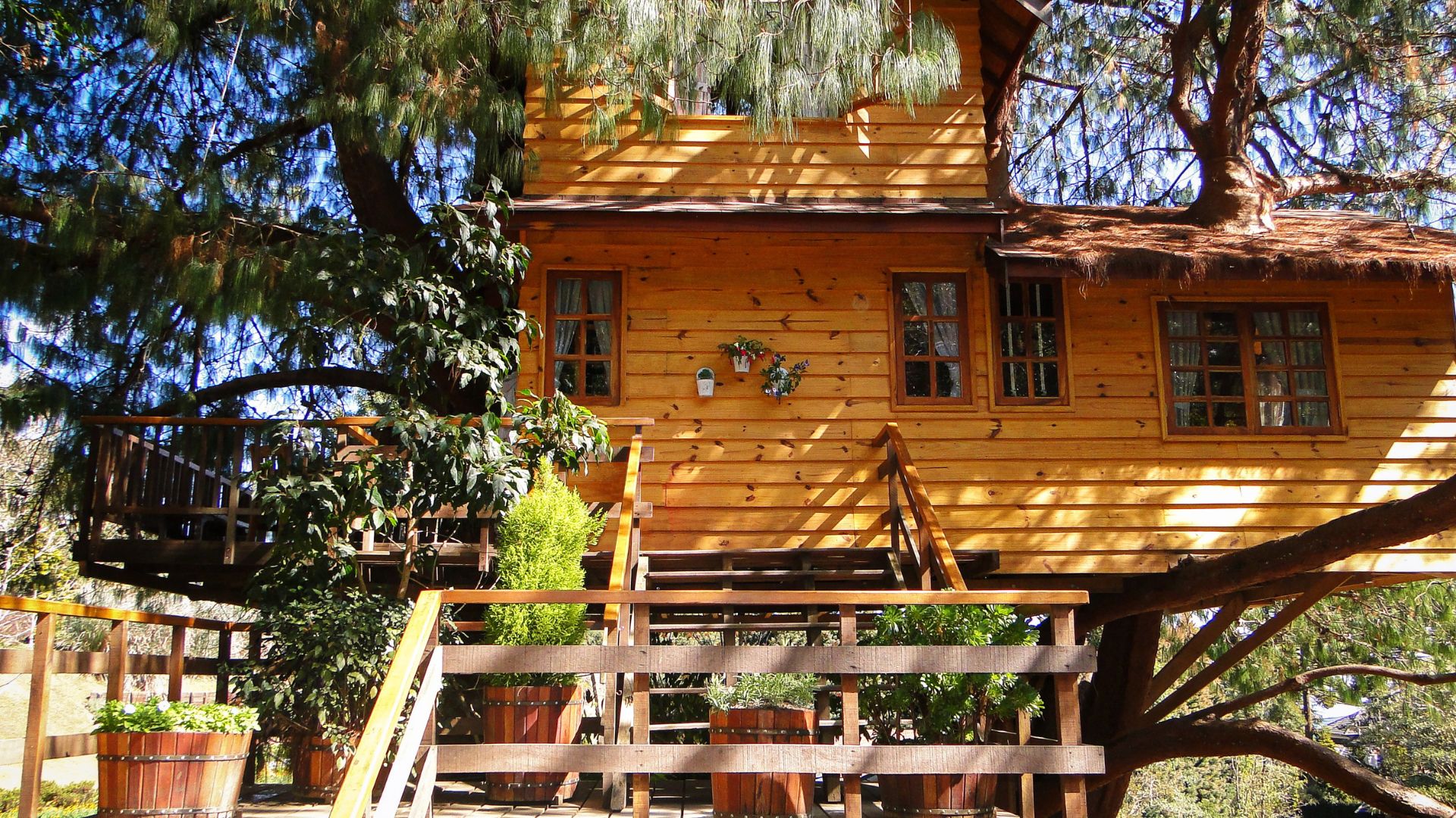 what/where exactly is this in usa? write a brief alt text describing the image