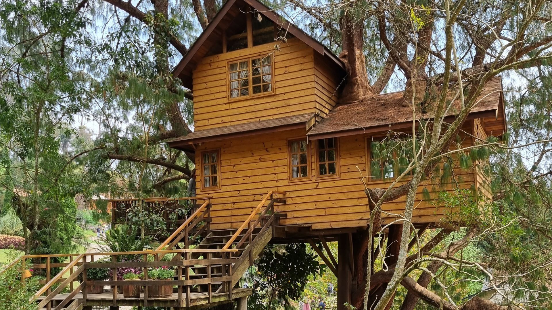 Treehouse in USA