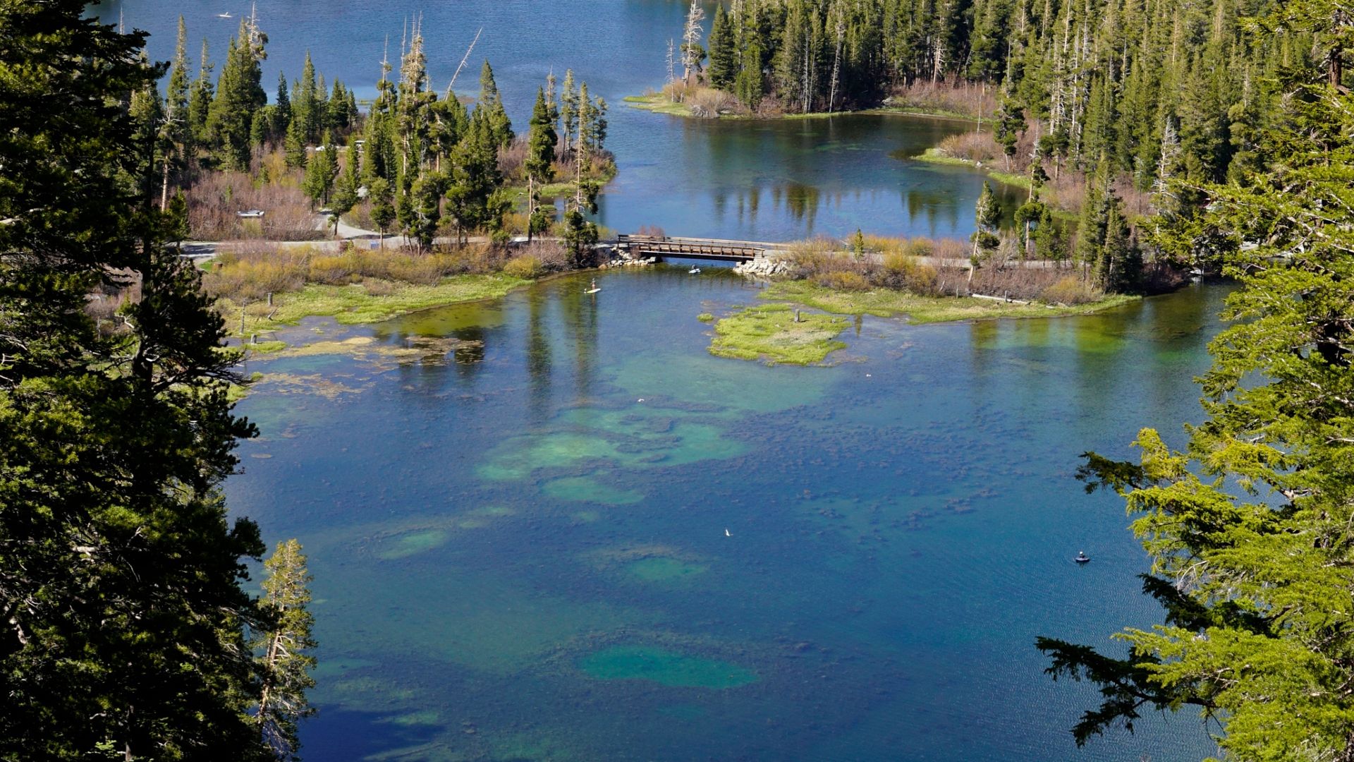 A scenic view of Twin Lakes in Mammoth Lakes, California, showing clear blue water with visible underwater features, surrounded by lush green pine trees, with a small bridge spanning a narrower section of the lake in the middle ground.