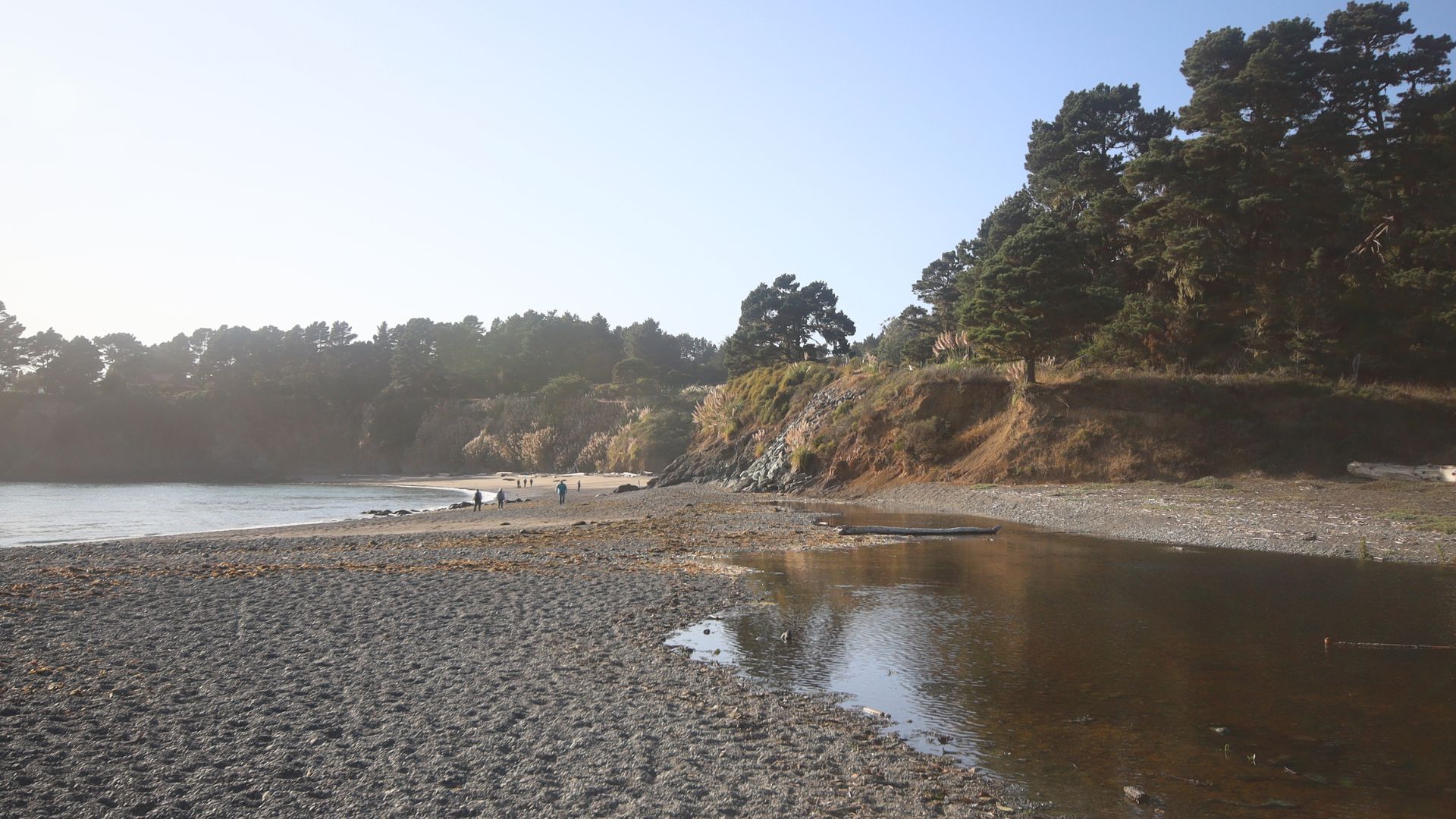 A wide shot of a tranquil beach scene at Van Damme State Park in California, featuring a sandy and rocky shore, a river flowing into the ocean, and a forested bluff in the background under a clear sky.