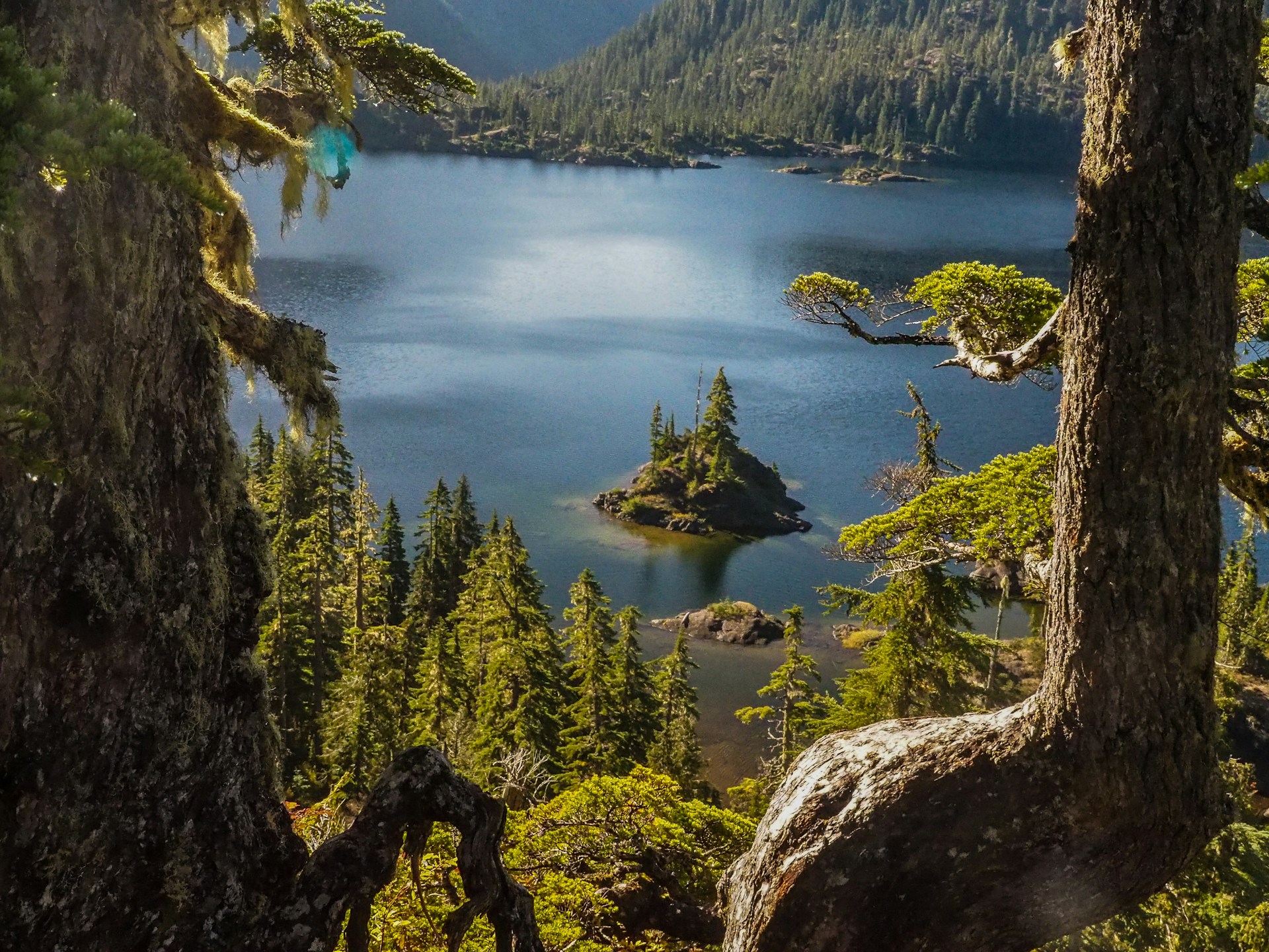 Scenic view of Vancouver Island