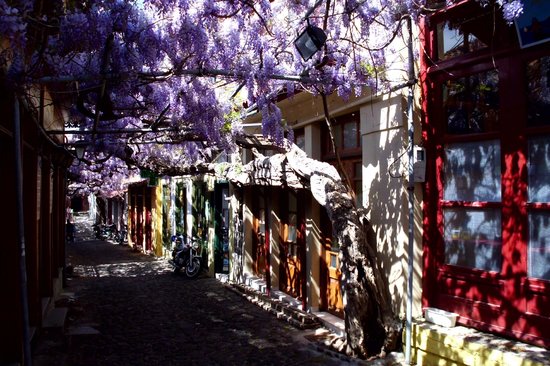 Wisteria Alleys