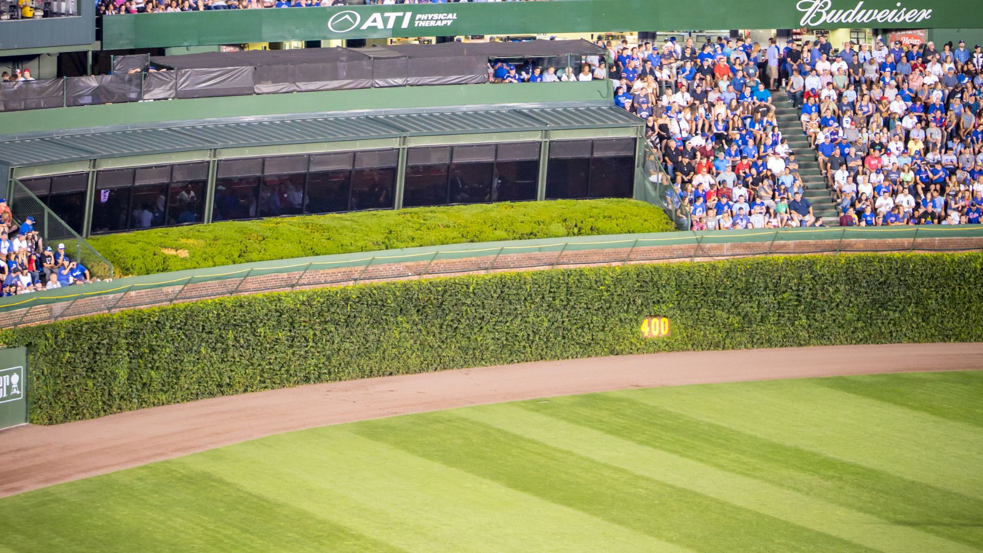 A view from the stands of a baseball stadium, showing the iconic ivy-covered outfield wall, the green batter's eye beyond it, and a section of spectator seating in the background. 