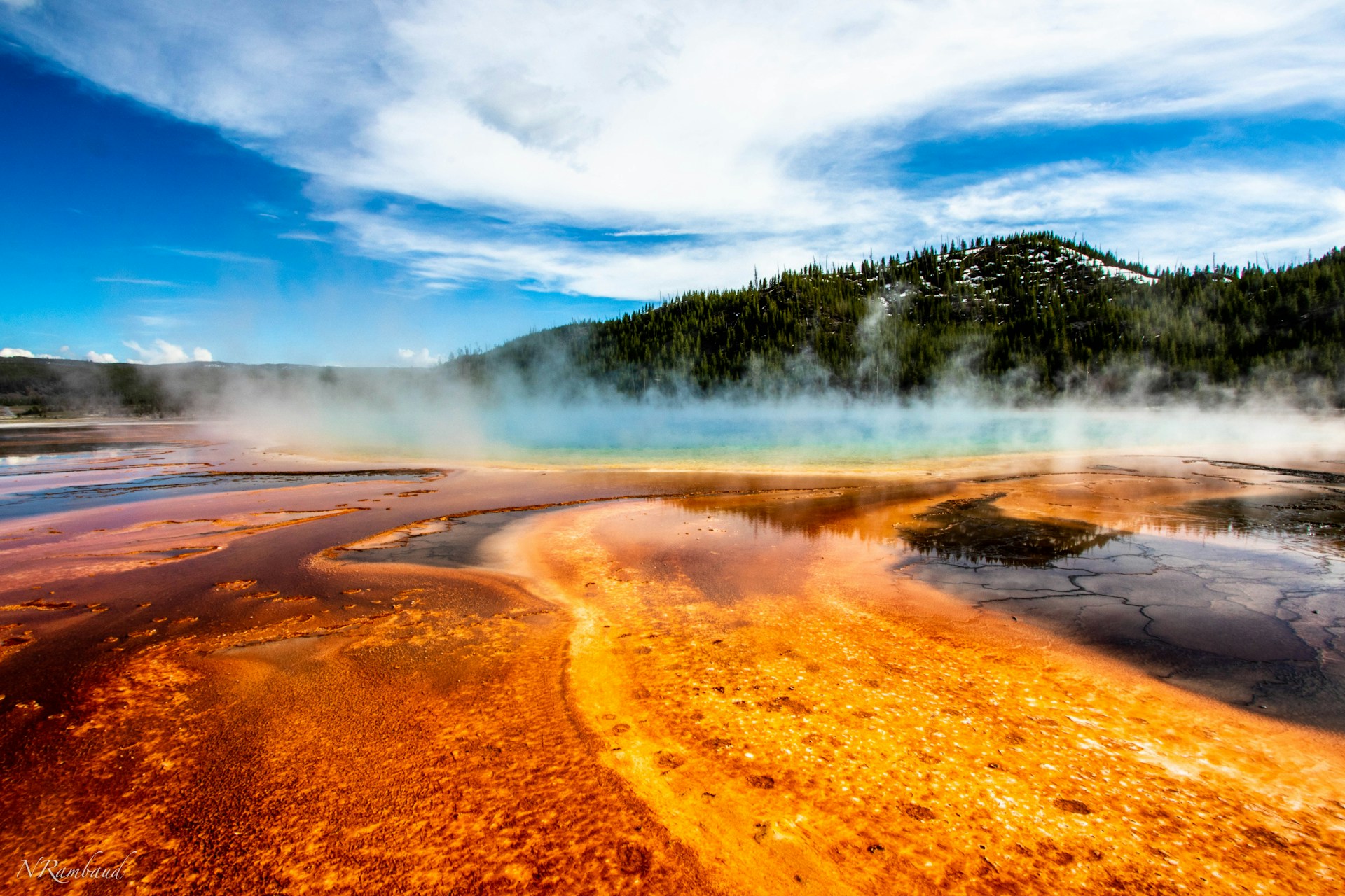 Scenic landscape in Yellowstone featuring a river winding through pine-covered hills.