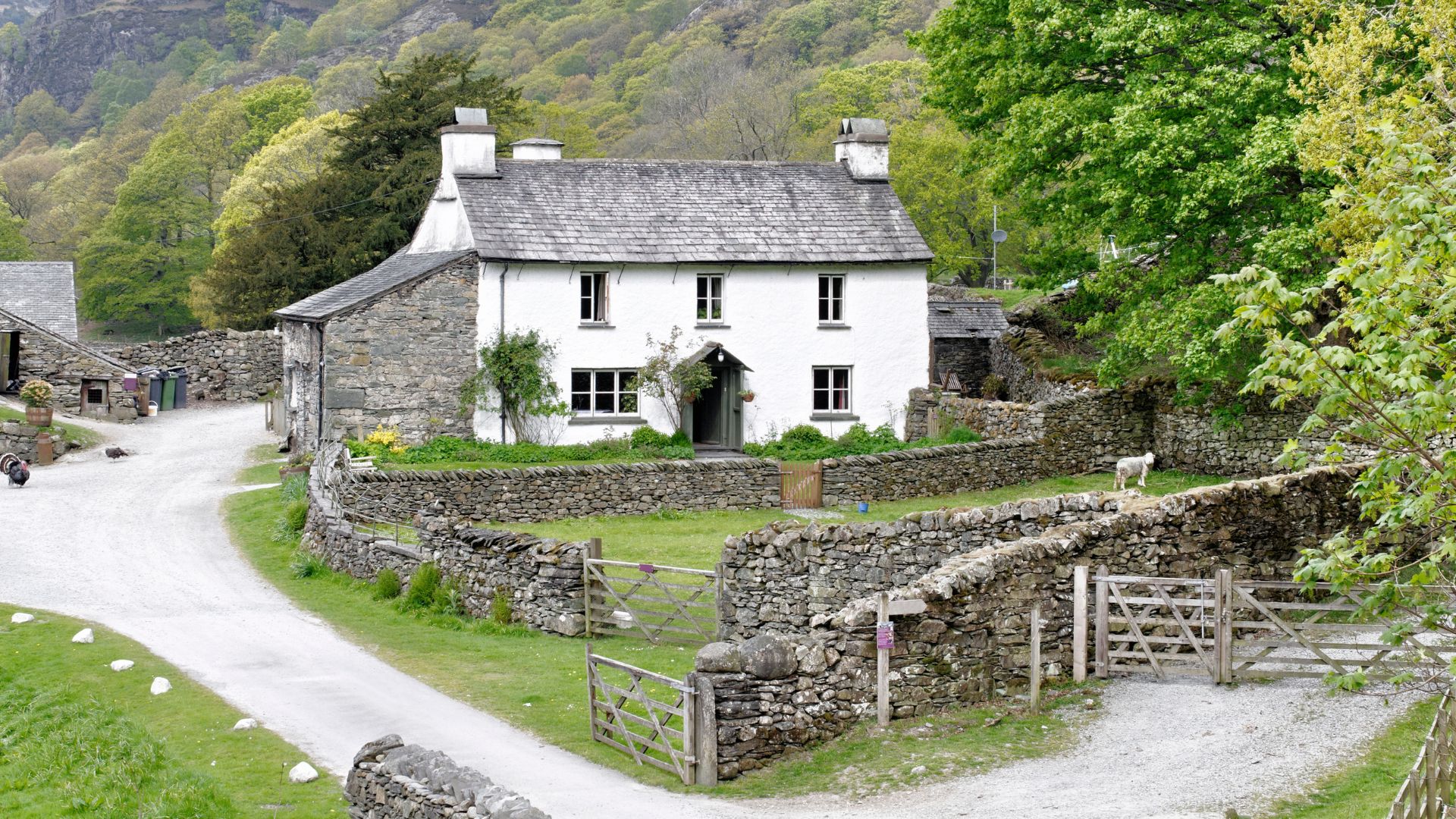 A picturesque white farmhouse with a grey roof, surrounded by stone walls and green fields, nestled in a valley with wooded hills in the background, characteristic of the English Lake District.