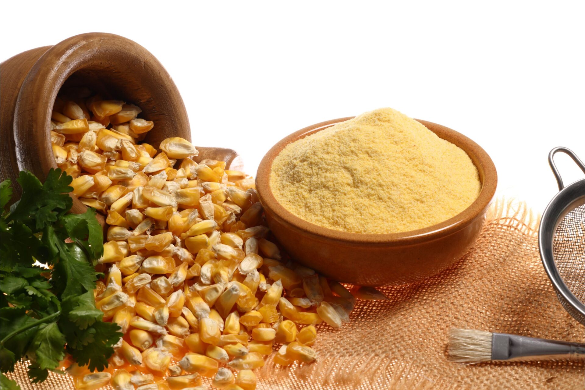 corn maize flour