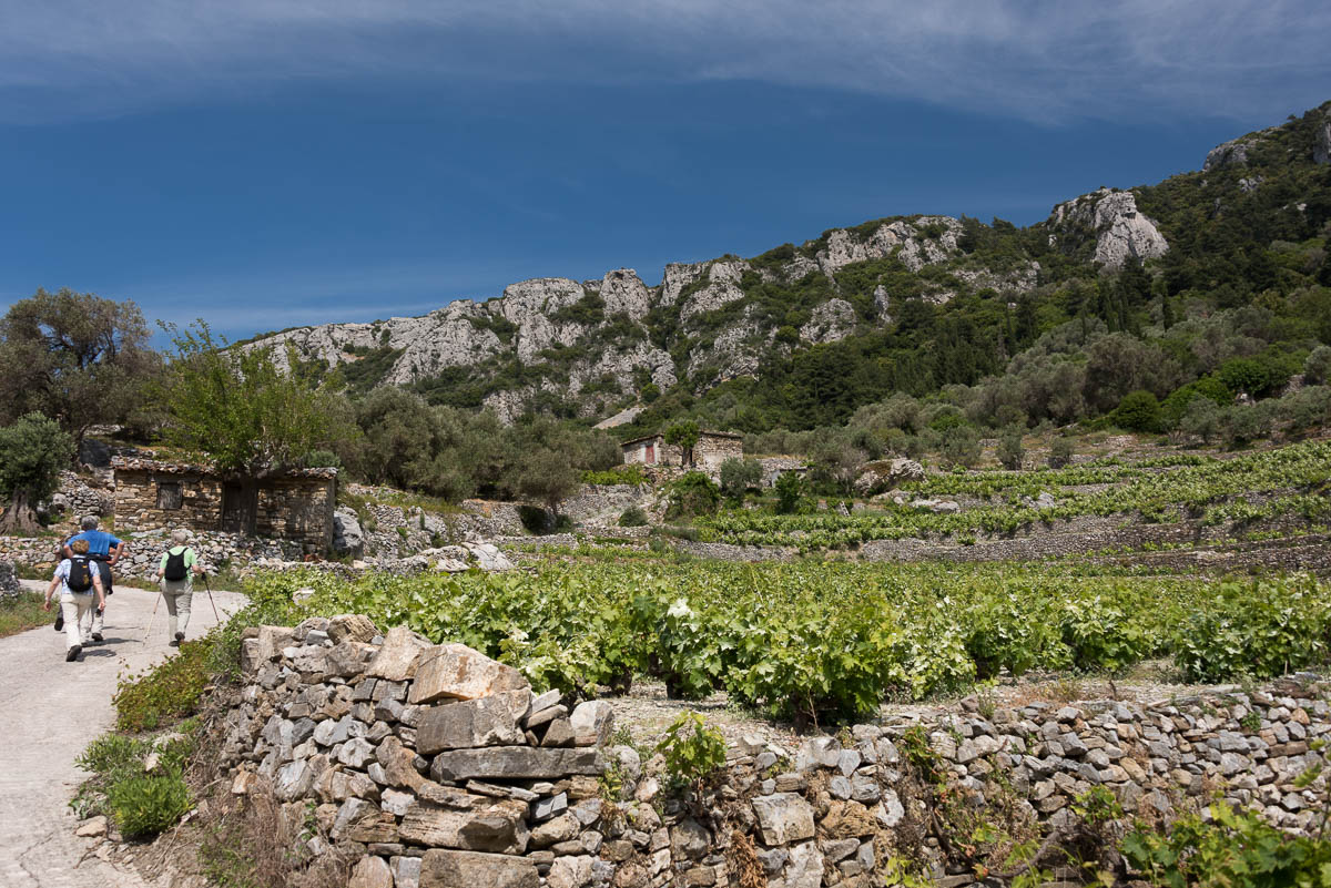 Trail connecting Manolates and Vourliotes
