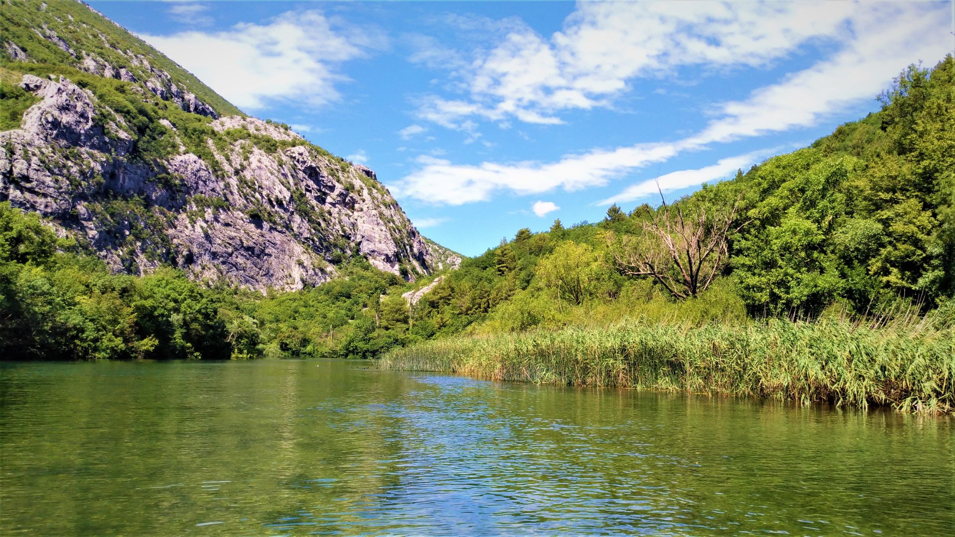 A scenic view of the Cetina River flowing through a lush green canyon with steep, rocky mountainsides under a bright blue sky with white clouds.
