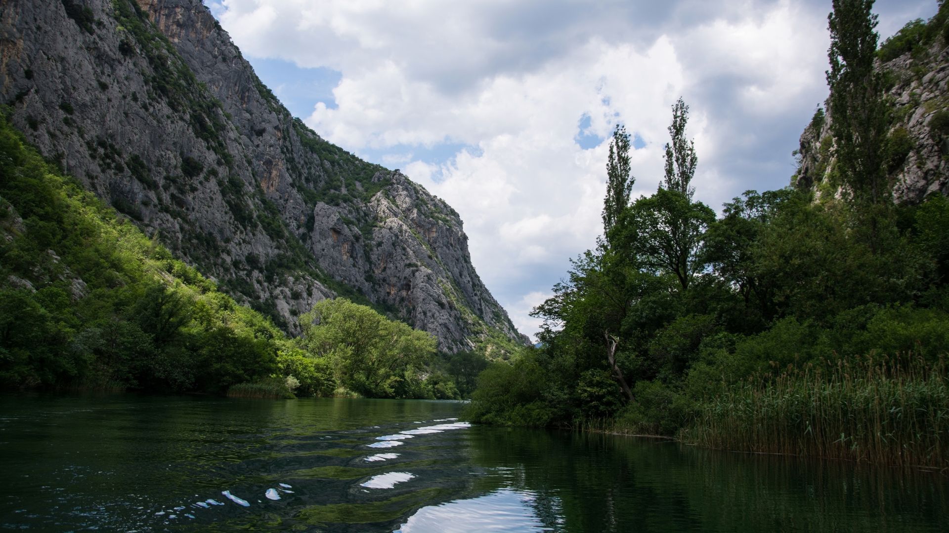 A serene river, the Cetina, flows through a deep canyon with steep, rocky, and forested cliffs on either side under a cloudy sky. The water reflects the sky and surrounding greenery, and tall reeds line the right bank.