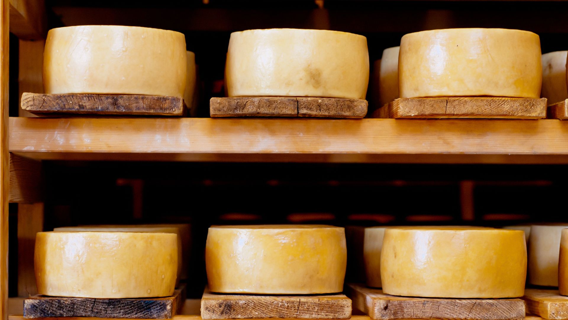 Pag cheese (Paški sir)
