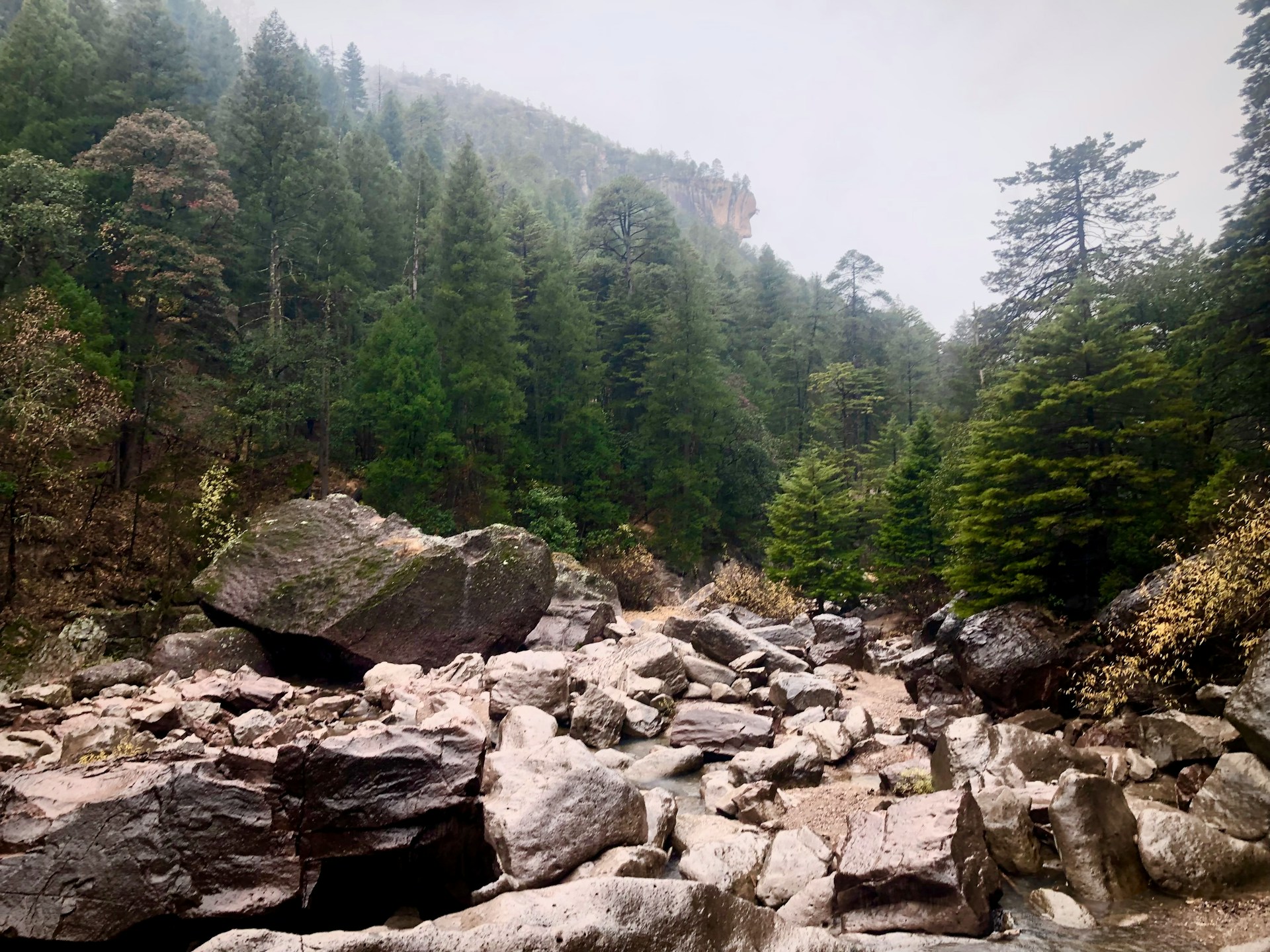 A panoramic view of Copper Canyon in northern Mexico