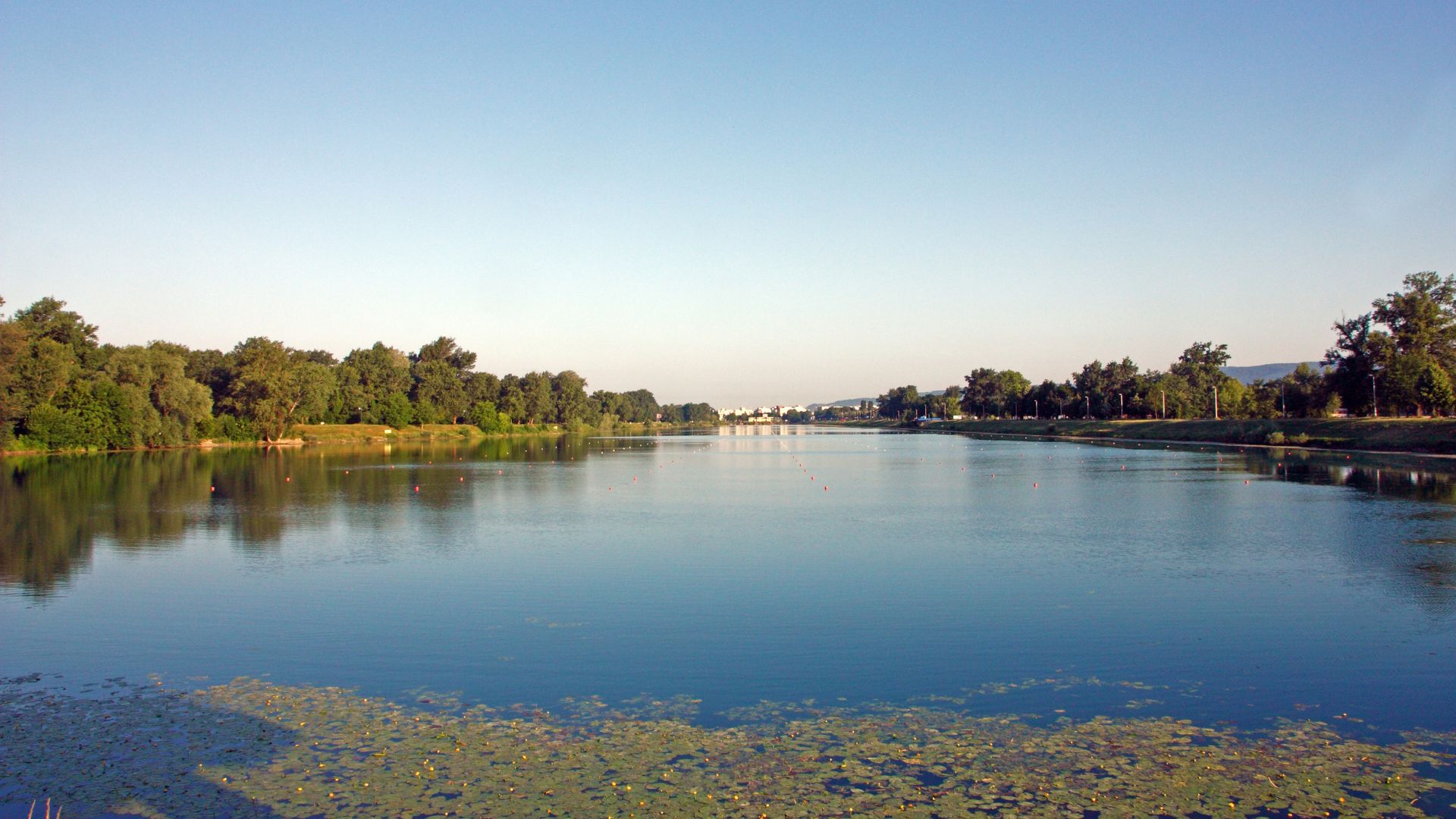 A wide-angle view of Jarun Lake in Zagreb, Croatia, with calm blue water reflecting the clear sky and lush green trees lining the banks, with some aquatic plants visible on the water's surface in the foreground.