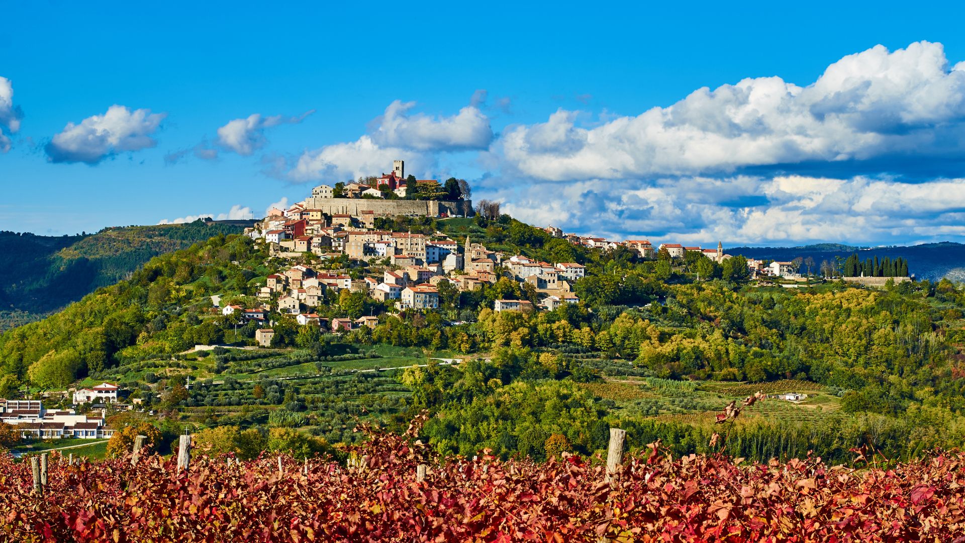 A picturesque medieval hilltop town, Motovun, with its stone buildings and prominent church tower, sits atop a lush green hill under a vibrant blue sky with scattered clouds. In the foreground, a vineyard with red-hued autumn leaves stretches across the landscape.