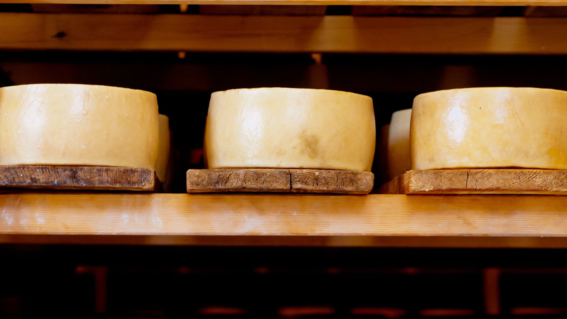 Pag cheese (Paški sir)
