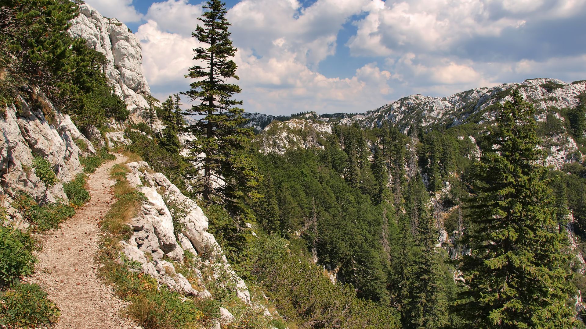 A winding dirt path leads through a rugged, rocky mountain landscape with dense evergreen forests under a partly cloudy sky, characteristic of Northern Velebit National Park.
