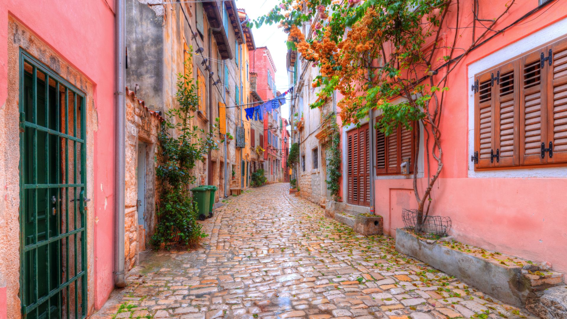 A narrow, cobblestone alleyway in Rovinj, Croatia, lined with colorful, pastel-hcolored buildings and green plants, leading towards a brighter area in the distance. The alley features a green barred door on the left and windows with wooden shutters on the right, with scattered leaves on the ground.