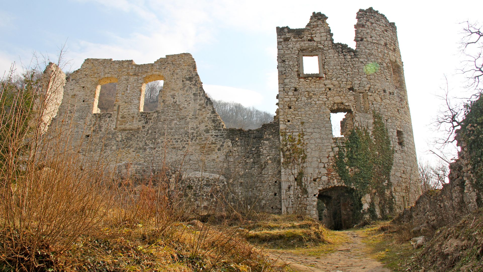 A wide-angle shot of the stone ruins of Samobor Castle, featuring a prominent tower and crumbling walls with arched openings, set against a backdrop of bare trees and a clear sky, with a path leading towards the entrance.