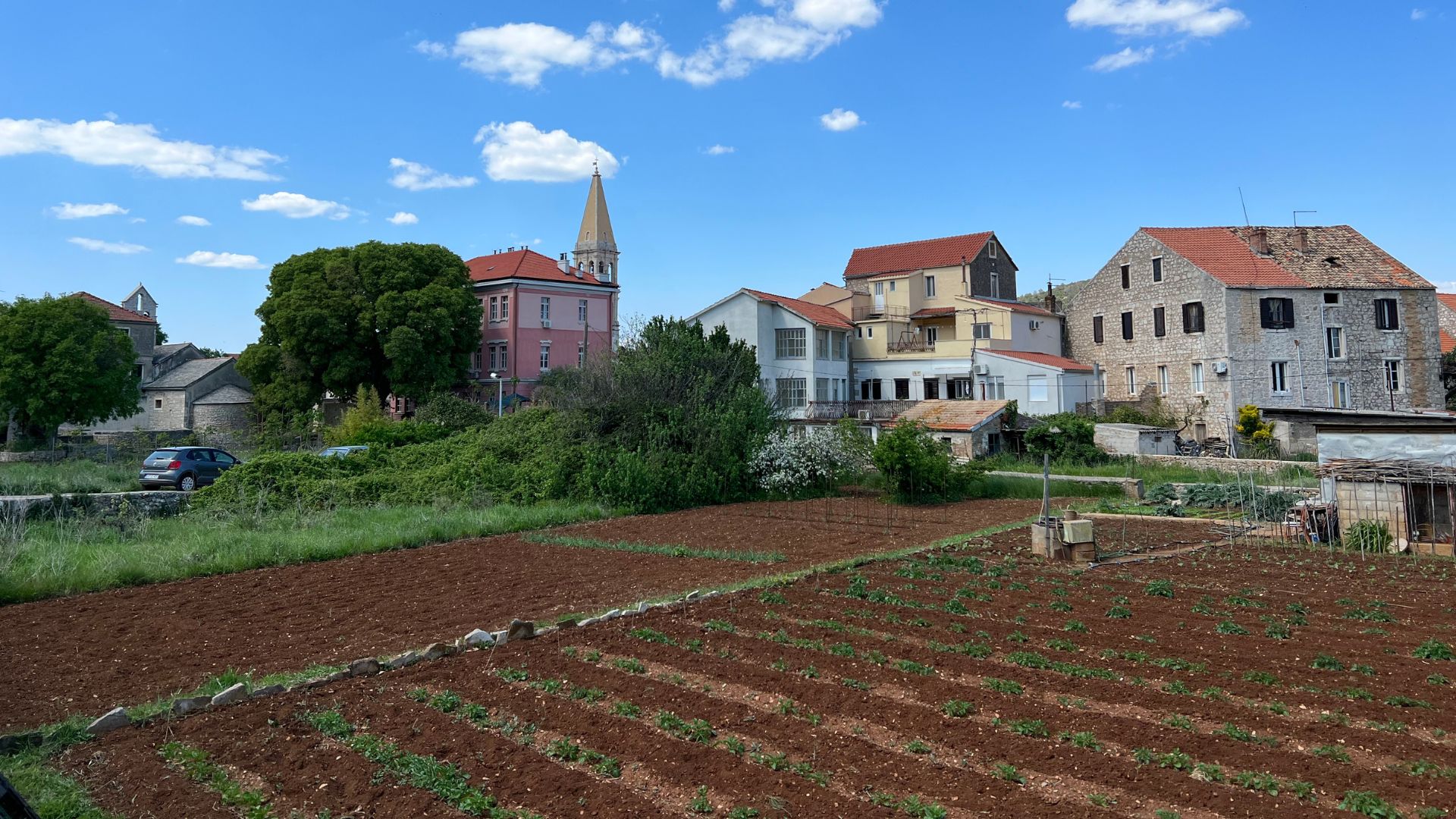 A panoramic view of Stari Grad, Croatia, featuring cultivated fields in the foreground, leading up to historic stone buildings and a church with a prominent bell tower under a partly cloudy blue sky.