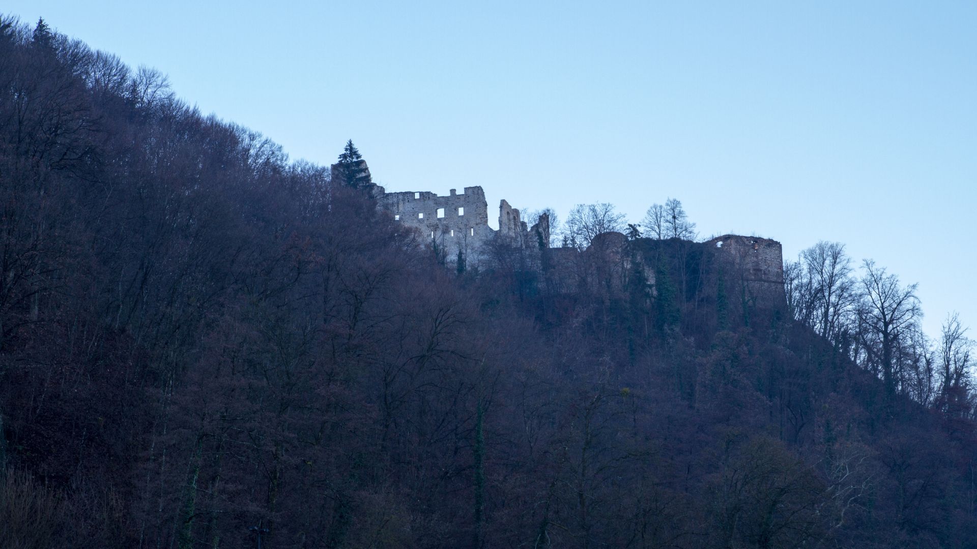 A wide shot of the ruined Samobor Castle atop Tepec Hill, surrounded by a dense, dark forest under a clear blue sky. The castle's stone walls and broken windows are visible on the hillside.